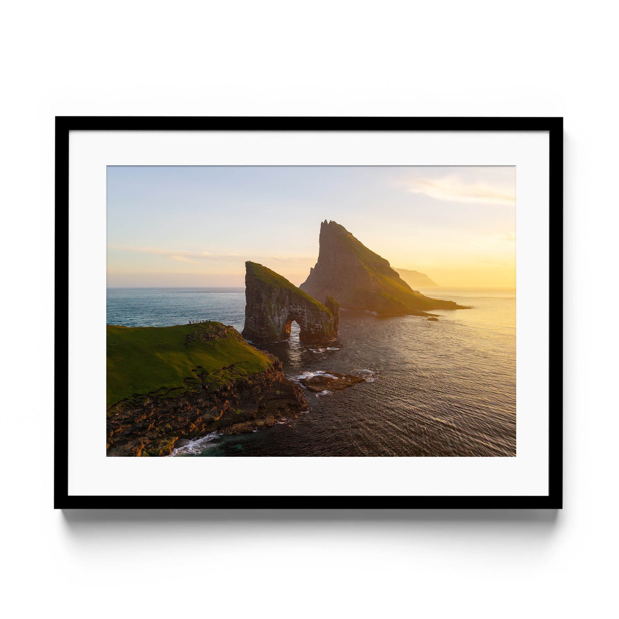 BJÖRK'S REVENGE - DANA GALLERYGeorge LozadaDANA GALLERYDANA GALLERYGeorge Lozada