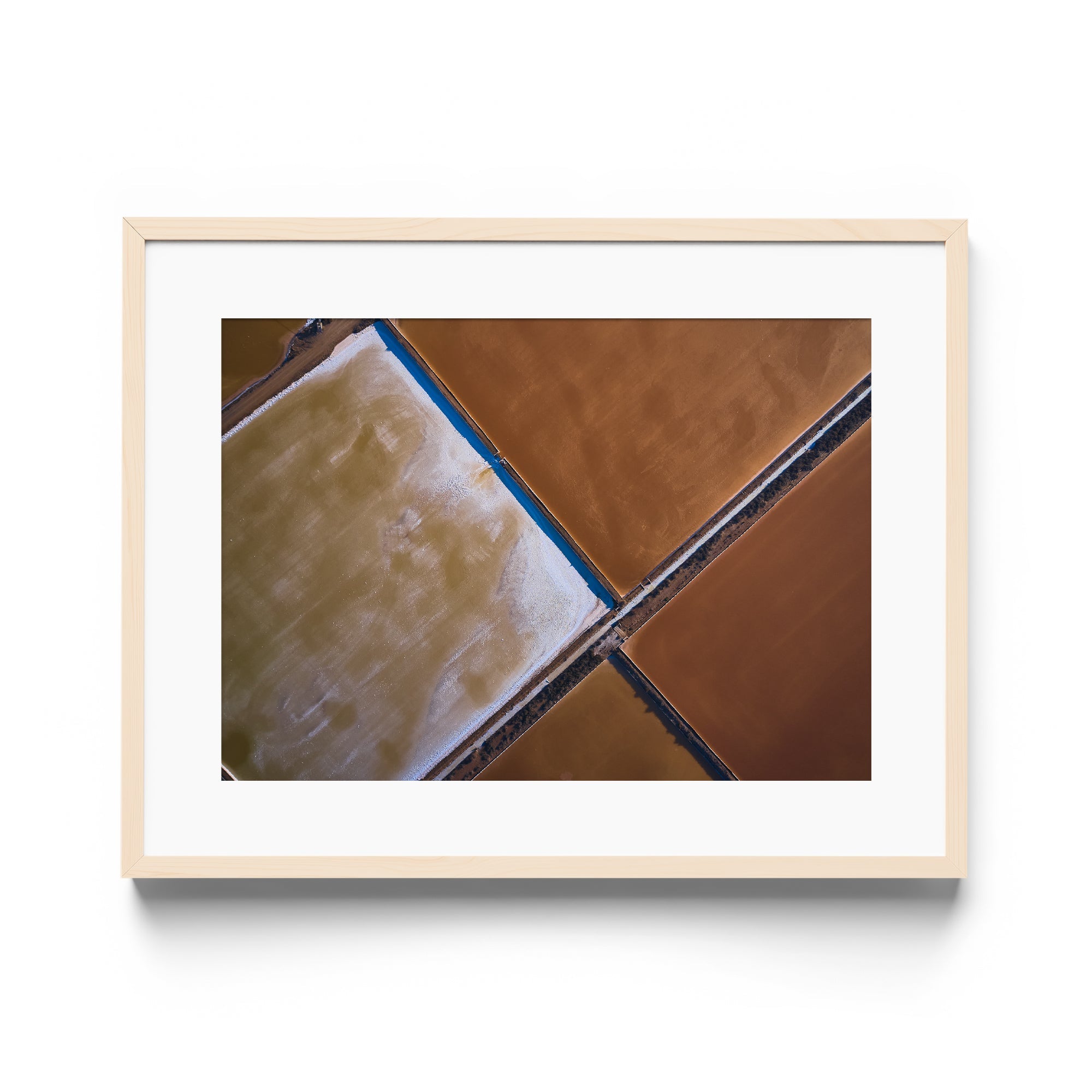 BROWNIE POINTS - DANA GALLERYMario AlzateDANA GALLERYDANA GALLERYMario Alzate