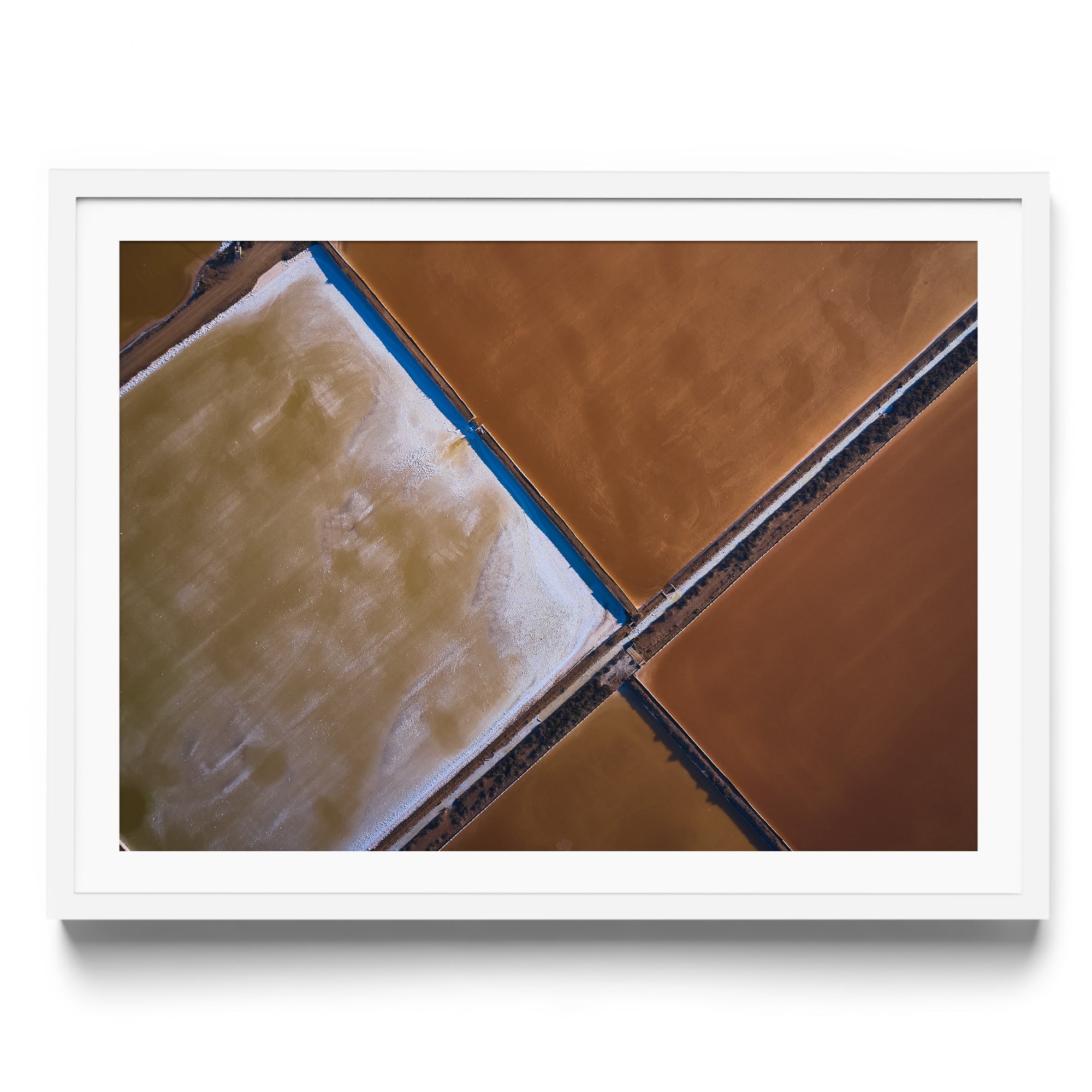 BROWNIE POINTS - DANA GALLERYMario AlzateDANA GALLERYDANA GALLERYMario Alzate