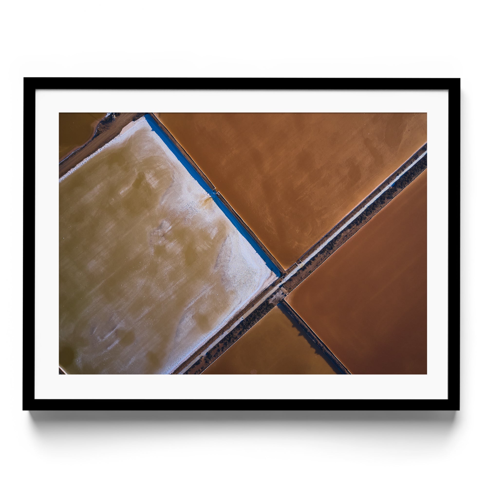 BROWNIE POINTS - DANA GALLERYMario AlzateDANA GALLERYDANA GALLERYMario Alzate