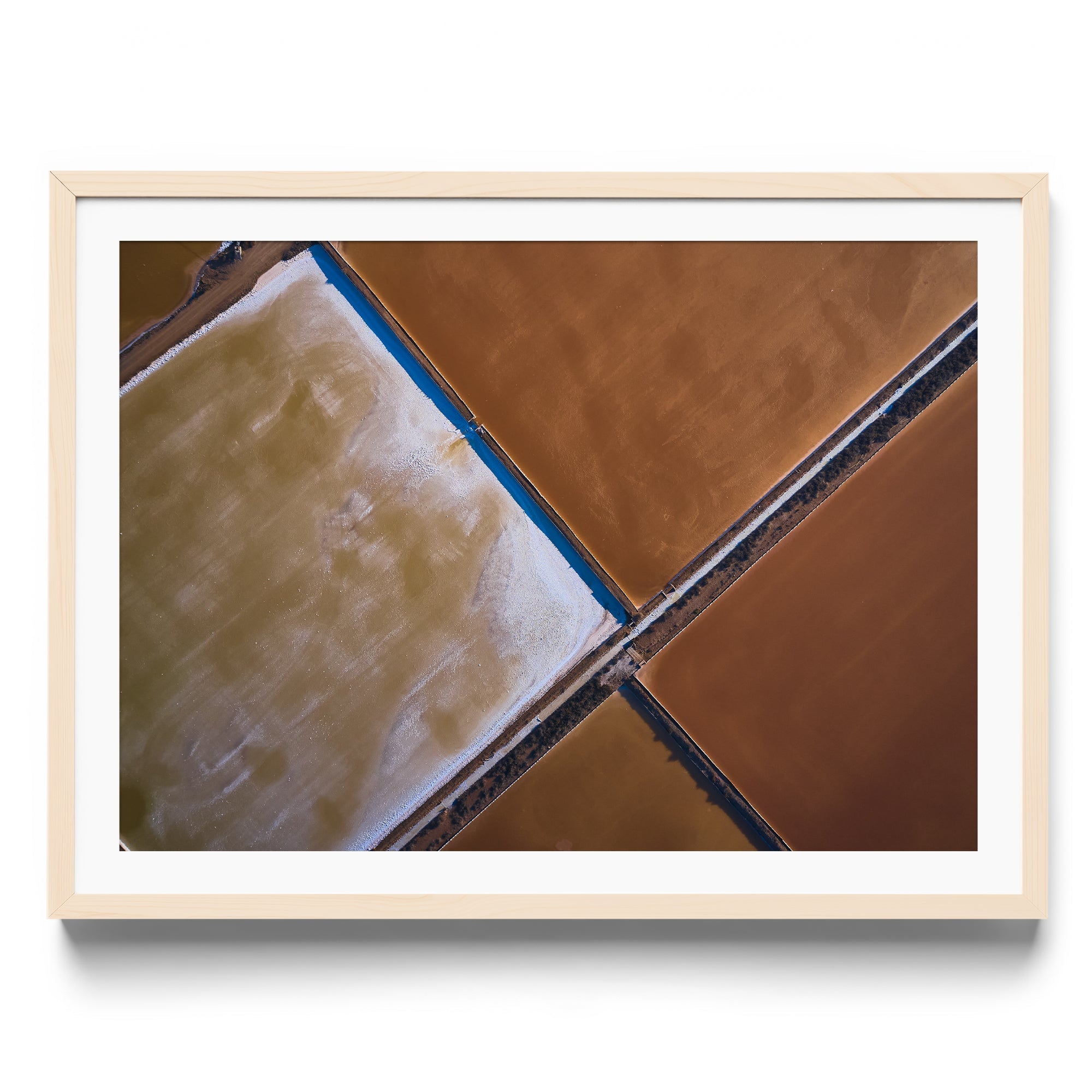 BROWNIE POINTS - DANA GALLERYMario AlzateDANA GALLERYDANA GALLERYMario Alzate