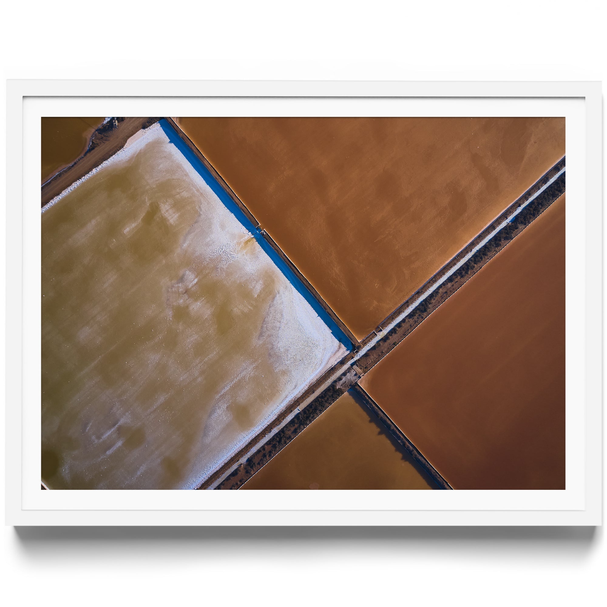 BROWNIE POINTS - DANA GALLERYMario AlzateDANA GALLERYDANA GALLERYMario Alzate