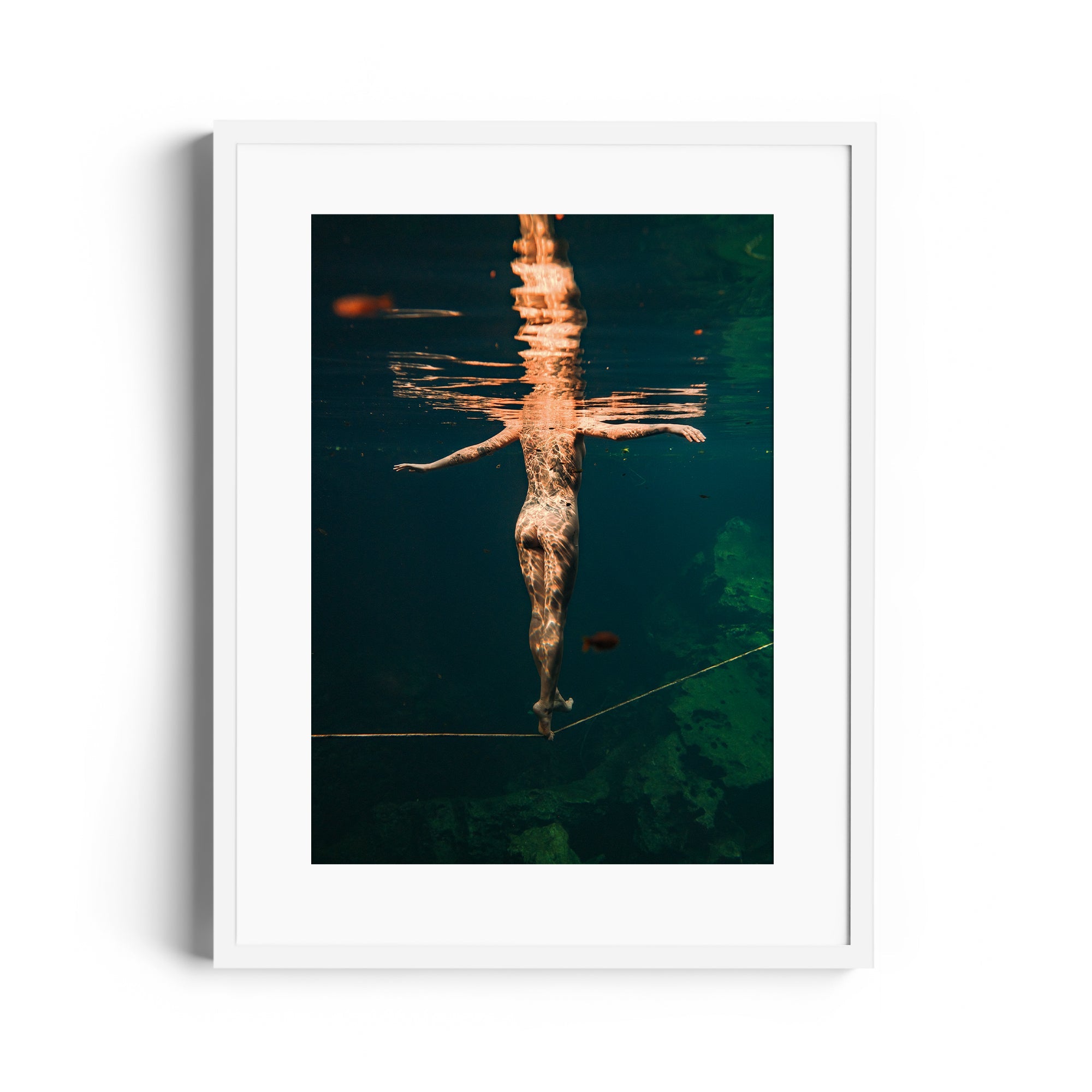 Cirque - DANA GALLERYMario AlzateDANA GALLERYDANA GALLERYMario Alzate