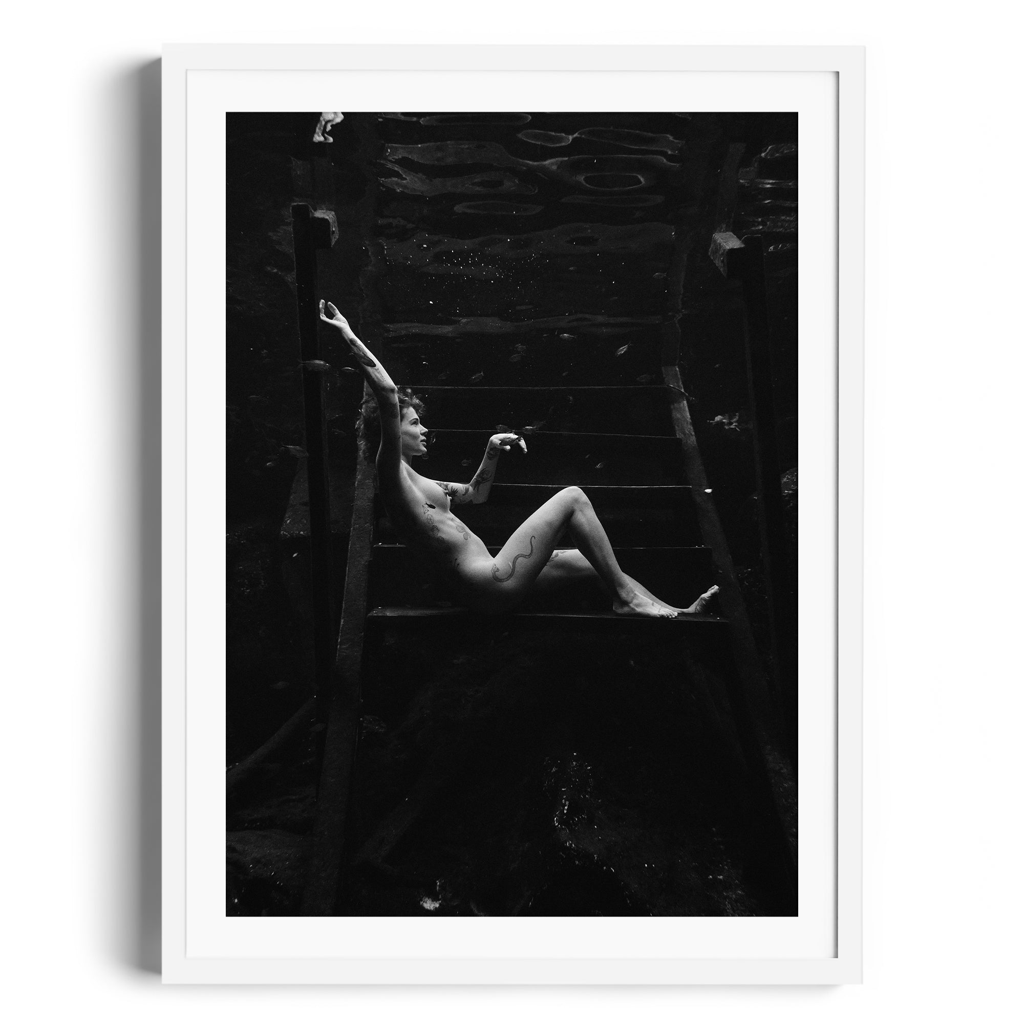 Noir Suspension - DANA GALLERYMario AlzateDANA GALLERYDANA GALLERYMario Alzate