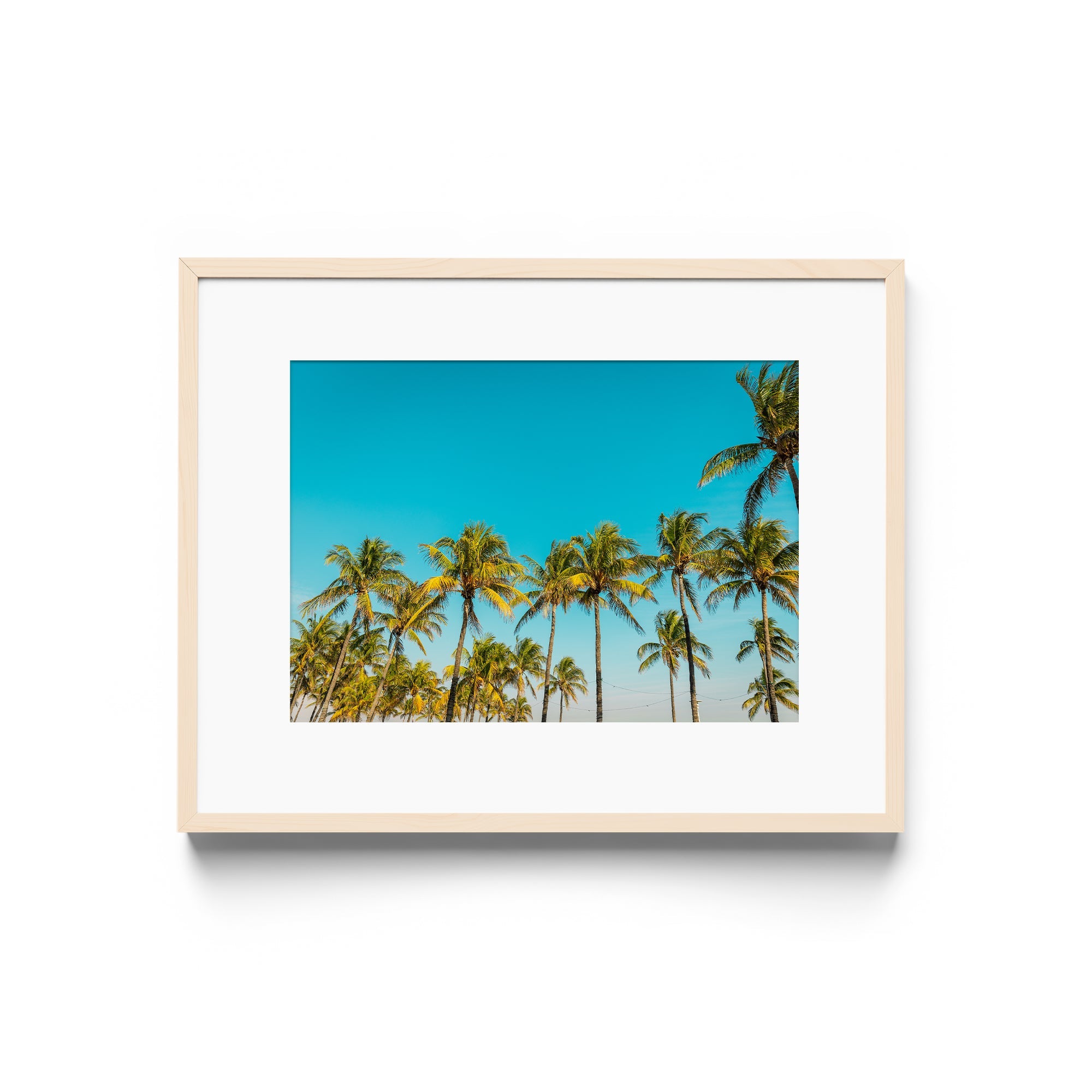 PALM BEACH - DANA GALLERYGeorge LozadaDANA GALLERYDANA GALLERYGeorge Lozada