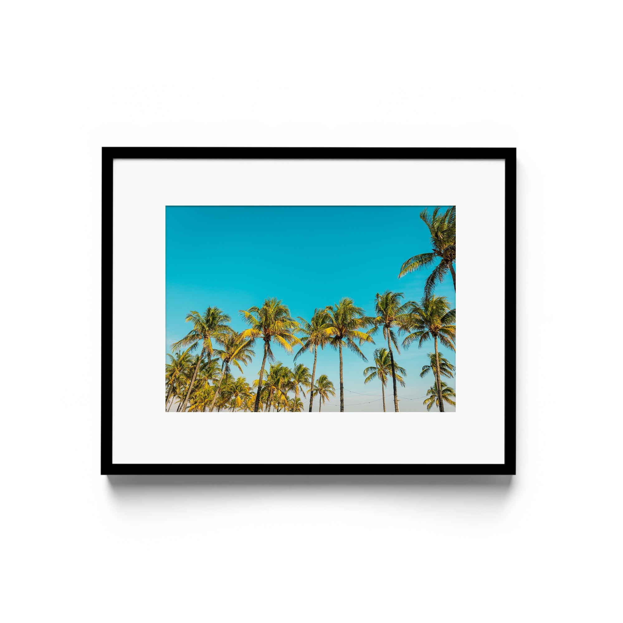 PALM BEACH - DANA GALLERYGeorge LozadaDANA GALLERYDANA GALLERYGeorge Lozada