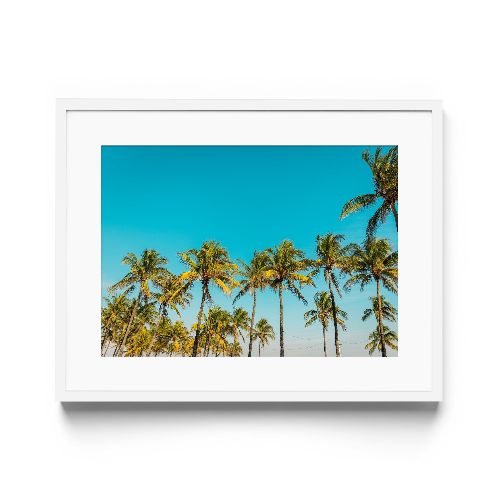 PALM BEACH - DANA GALLERYGeorge LozadaDANA GALLERYDANA GALLERYGeorge Lozada