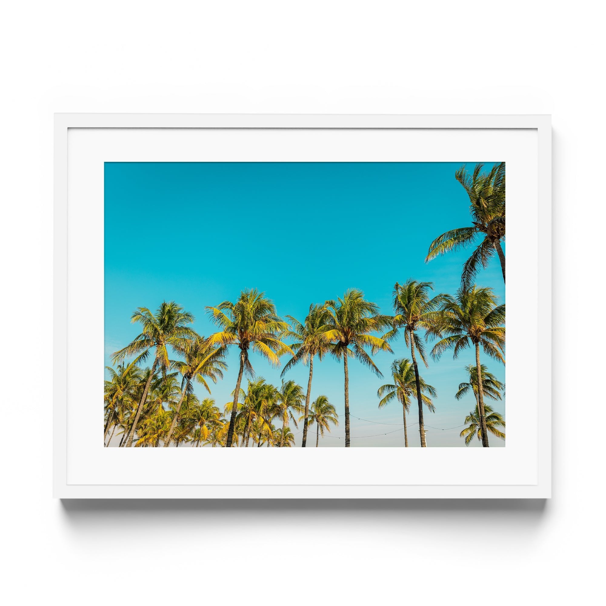 PALM BEACH - DANA GALLERYGeorge LozadaDANA GALLERYDANA GALLERYGeorge Lozada
