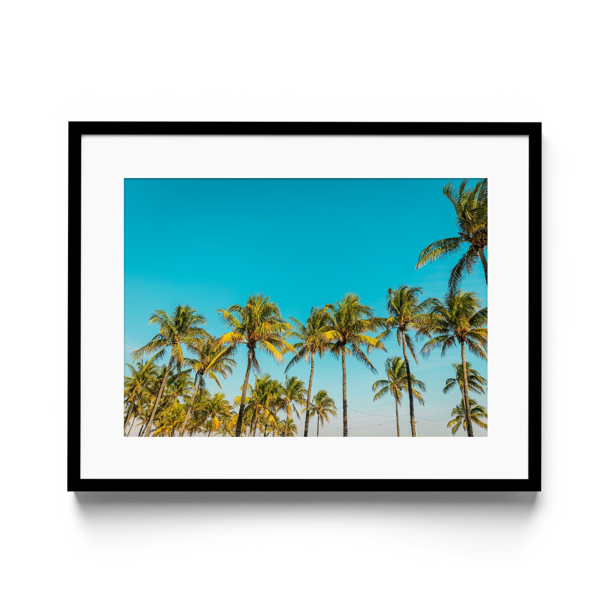 PALM BEACH - DANA GALLERYGeorge LozadaDANA GALLERYDANA GALLERYGeorge Lozada