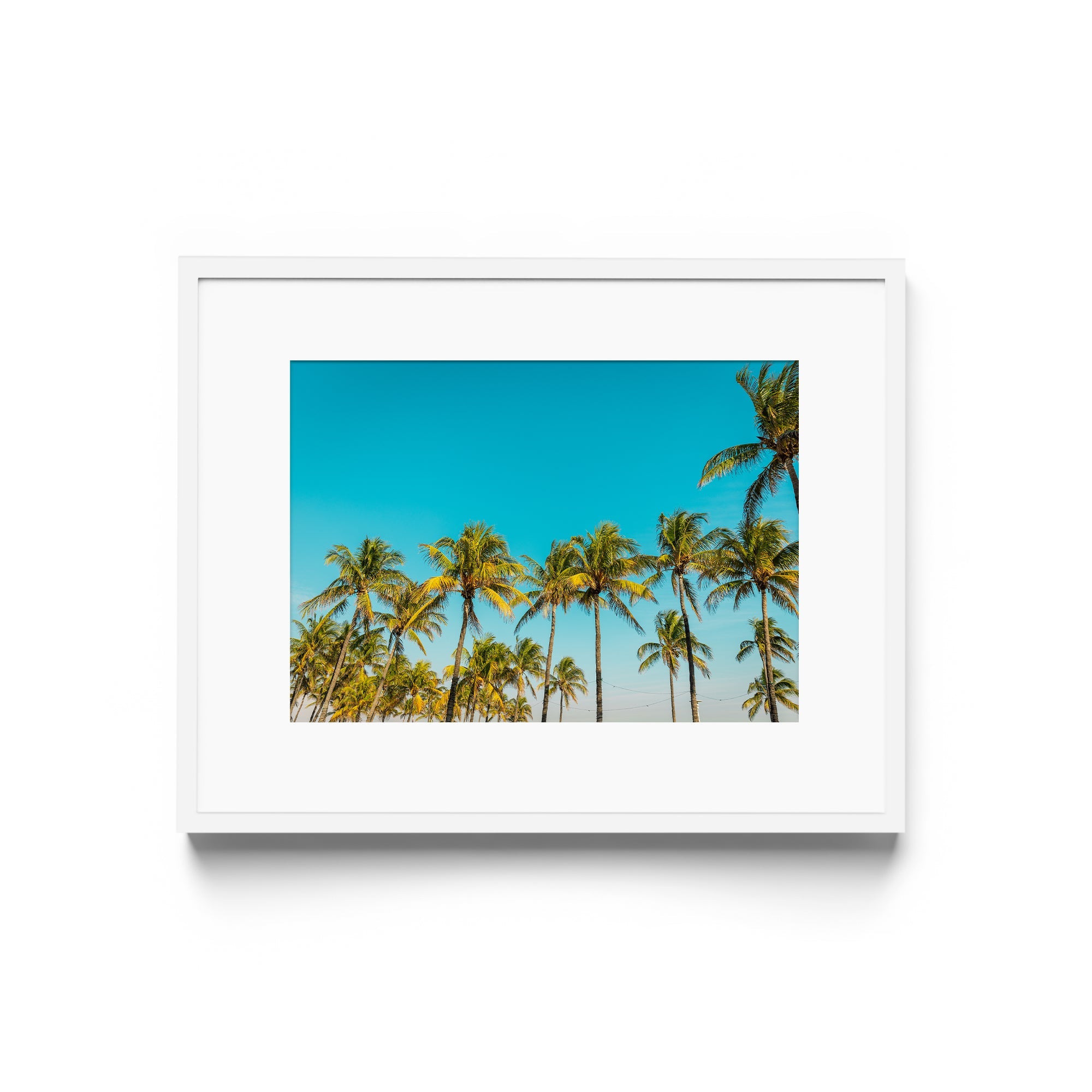 PALM BEACH - DANA GALLERYGeorge LozadaDANA GALLERYDANA GALLERYGeorge Lozada