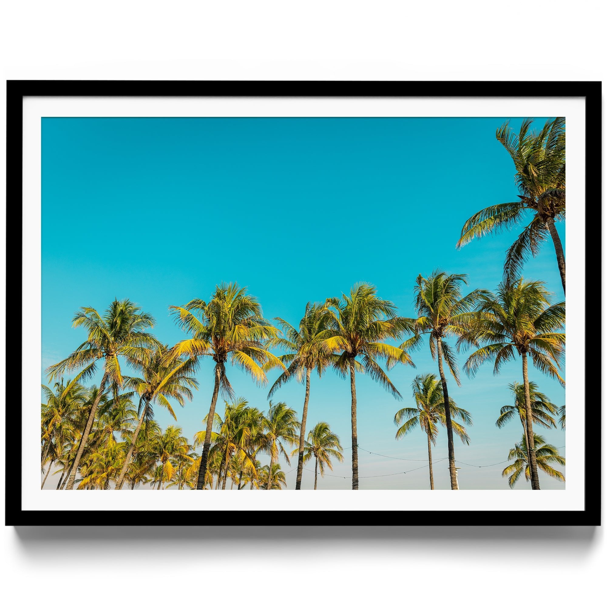 PALM BEACH - DANA GALLERYGeorge LozadaDANA GALLERYDANA GALLERYGeorge Lozada