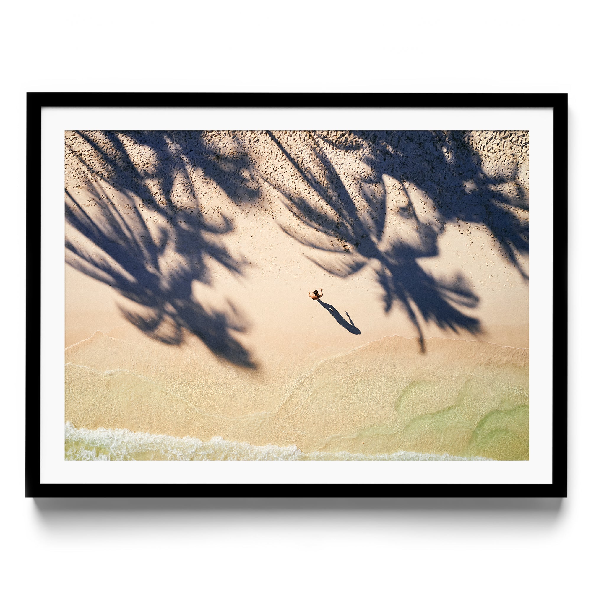 Palm Shadows - DANA GALLERYMario AlzateDANA GALLERYDANA GALLERYMario Alzate