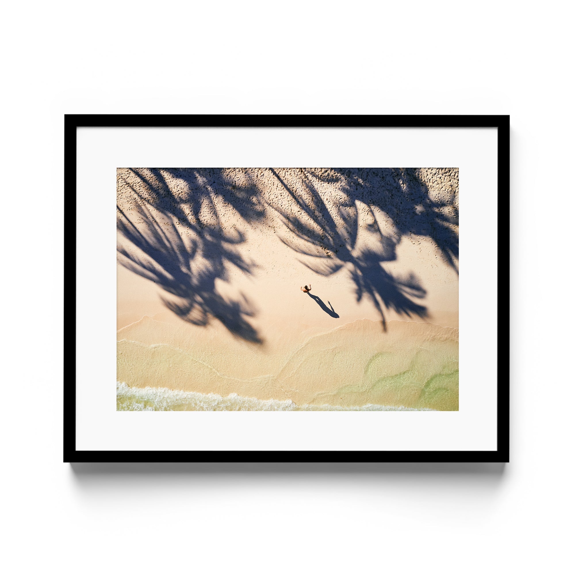 Palm Shadows - DANA GALLERYMario AlzateDANA GALLERYDANA GALLERYMario Alzate