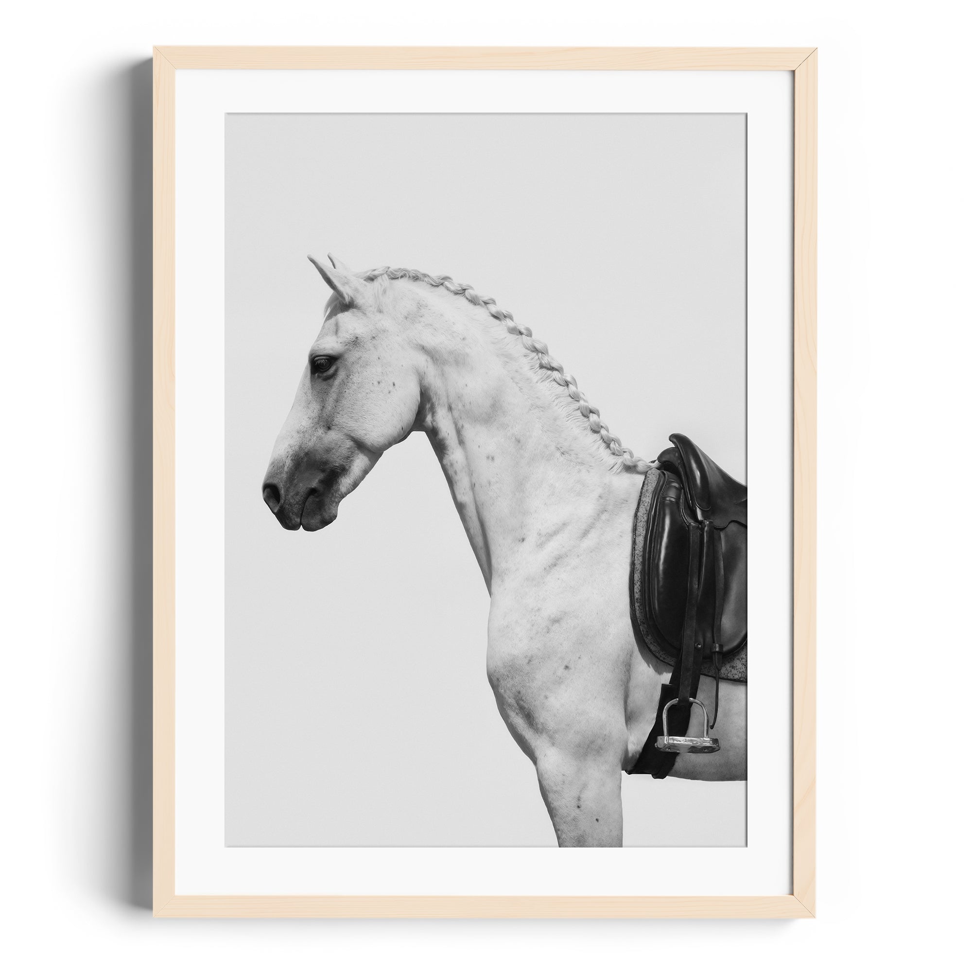 Limited edition fine art print of a dappled grey horse in a saddle, showcasing equestrian elegance for Miami gallery.