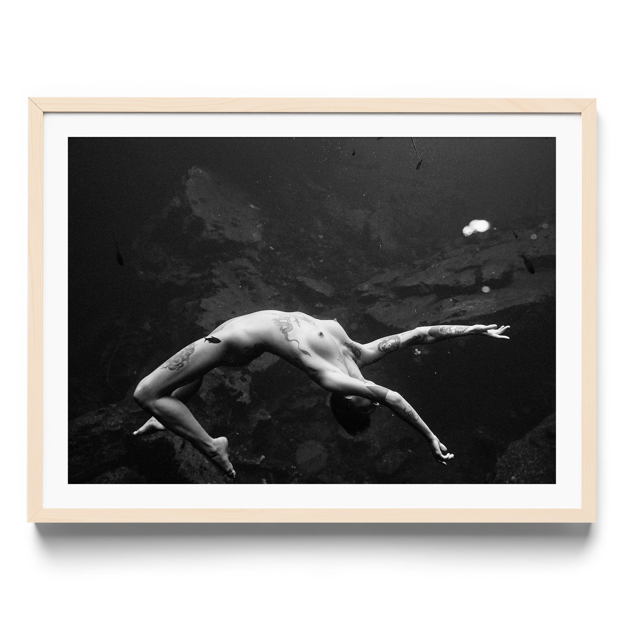 Vita - DANA GALLERYMario AlzateDANA GALLERYDANA GALLERYMario Alzate