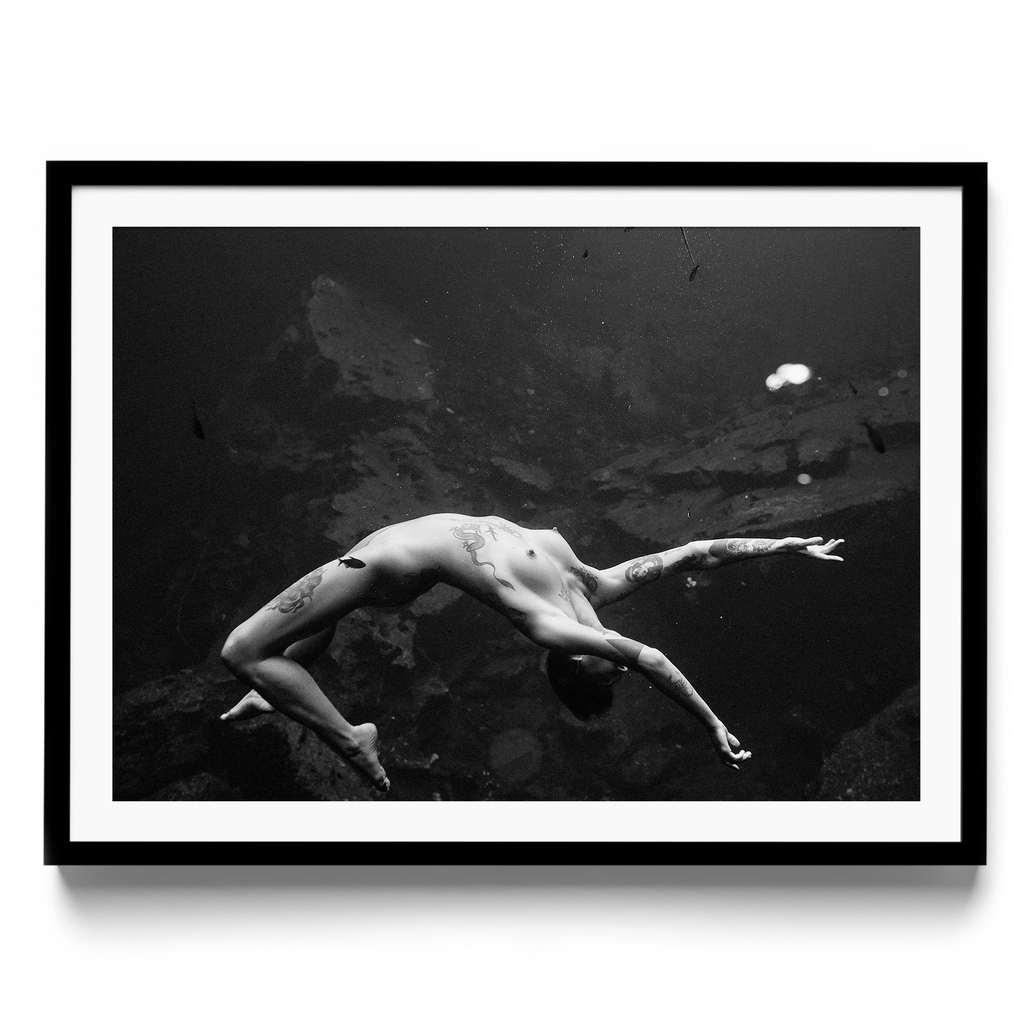 Vita - DANA GALLERYMario AlzateDANA GALLERYDANA GALLERYMario Alzate