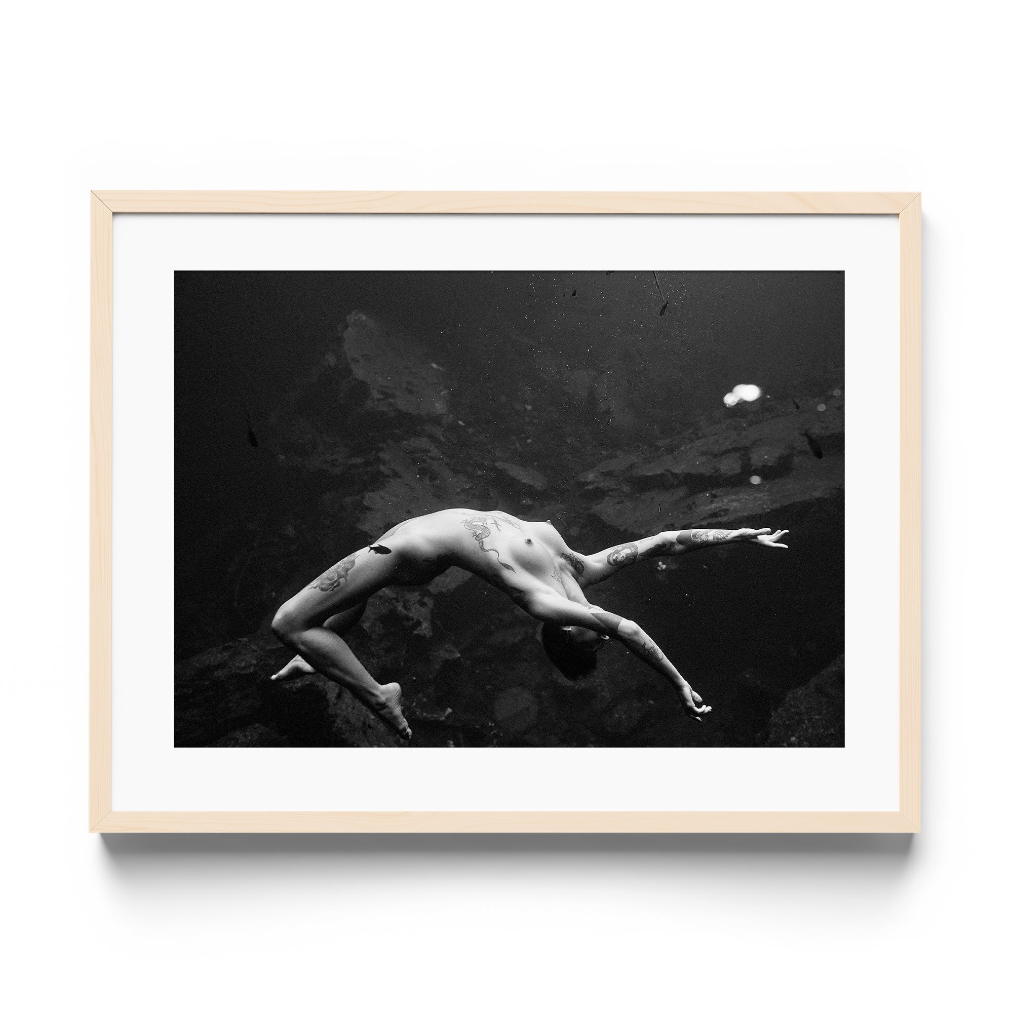 Vita - DANA GALLERYMario AlzateDANA GALLERYDANA GALLERYMario Alzate
