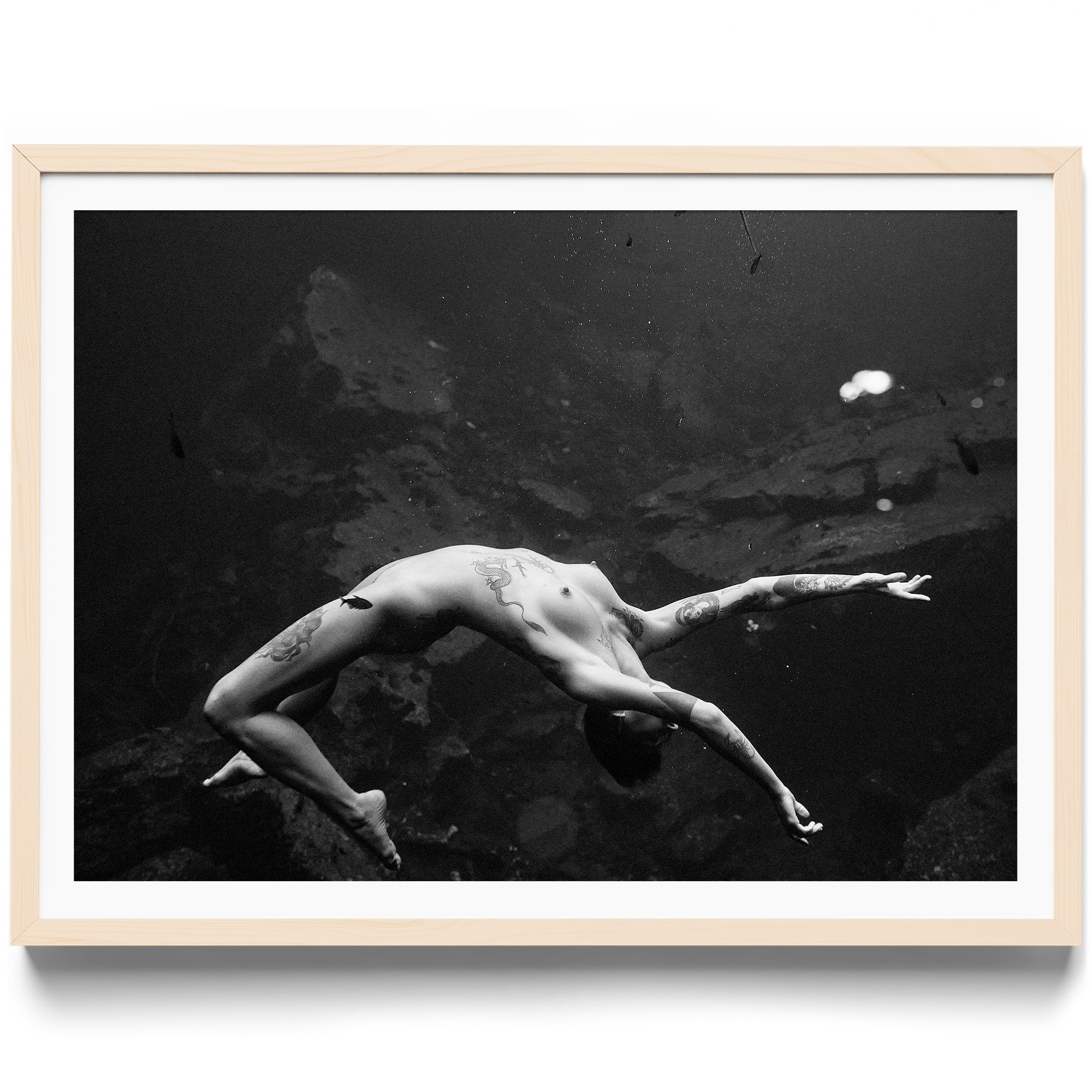Vita - DANA GALLERYMario AlzateDANA GALLERYDANA GALLERYMario Alzate
