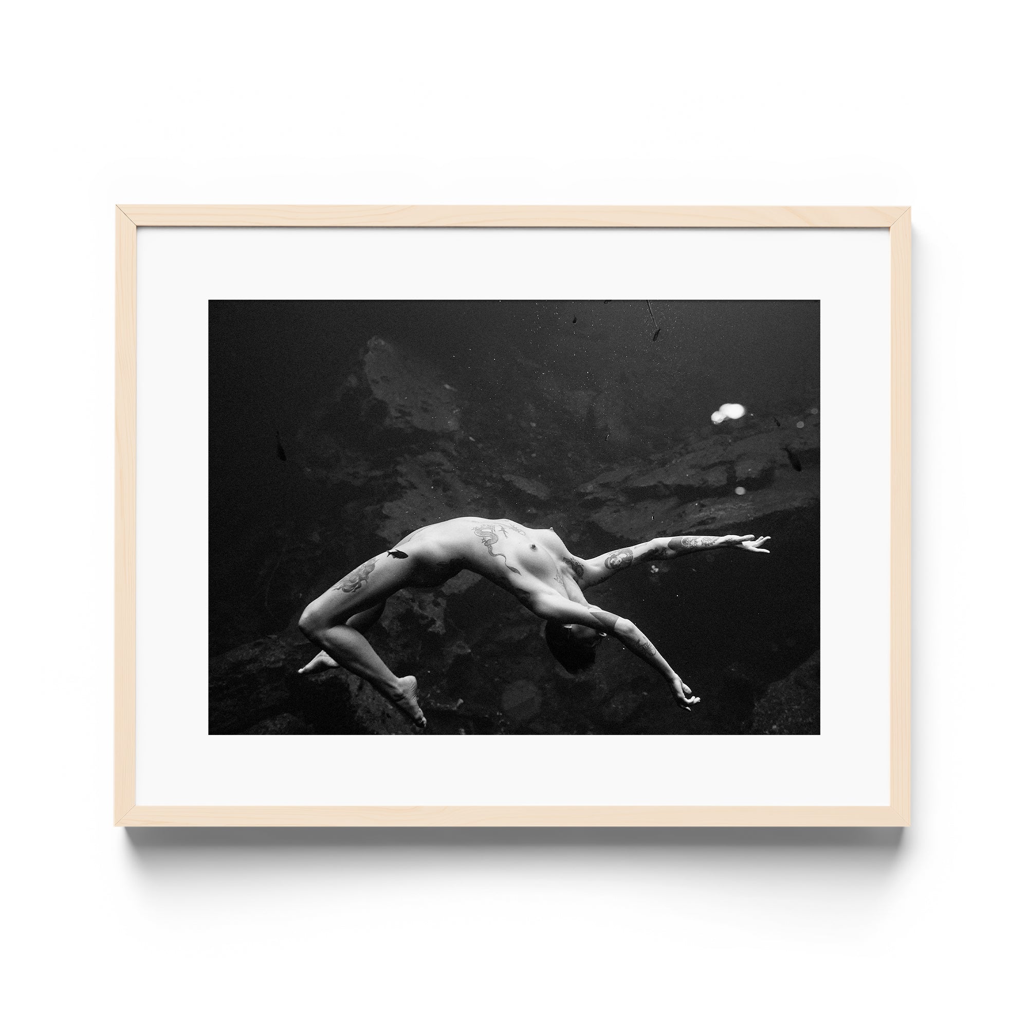 Vita - DANA GALLERYMario AlzateDANA GALLERYDANA GALLERYMario Alzate