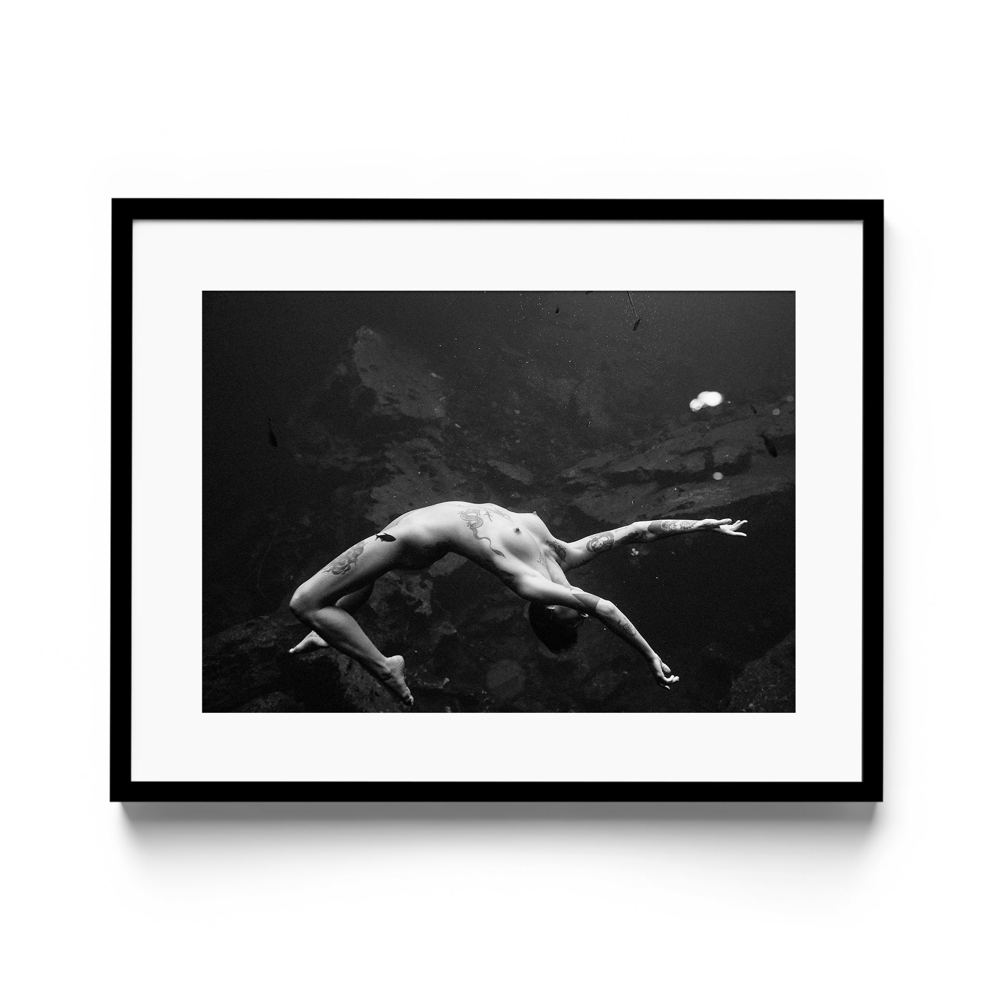 Vita - DANA GALLERYMario AlzateDANA GALLERYDANA GALLERYMario Alzate