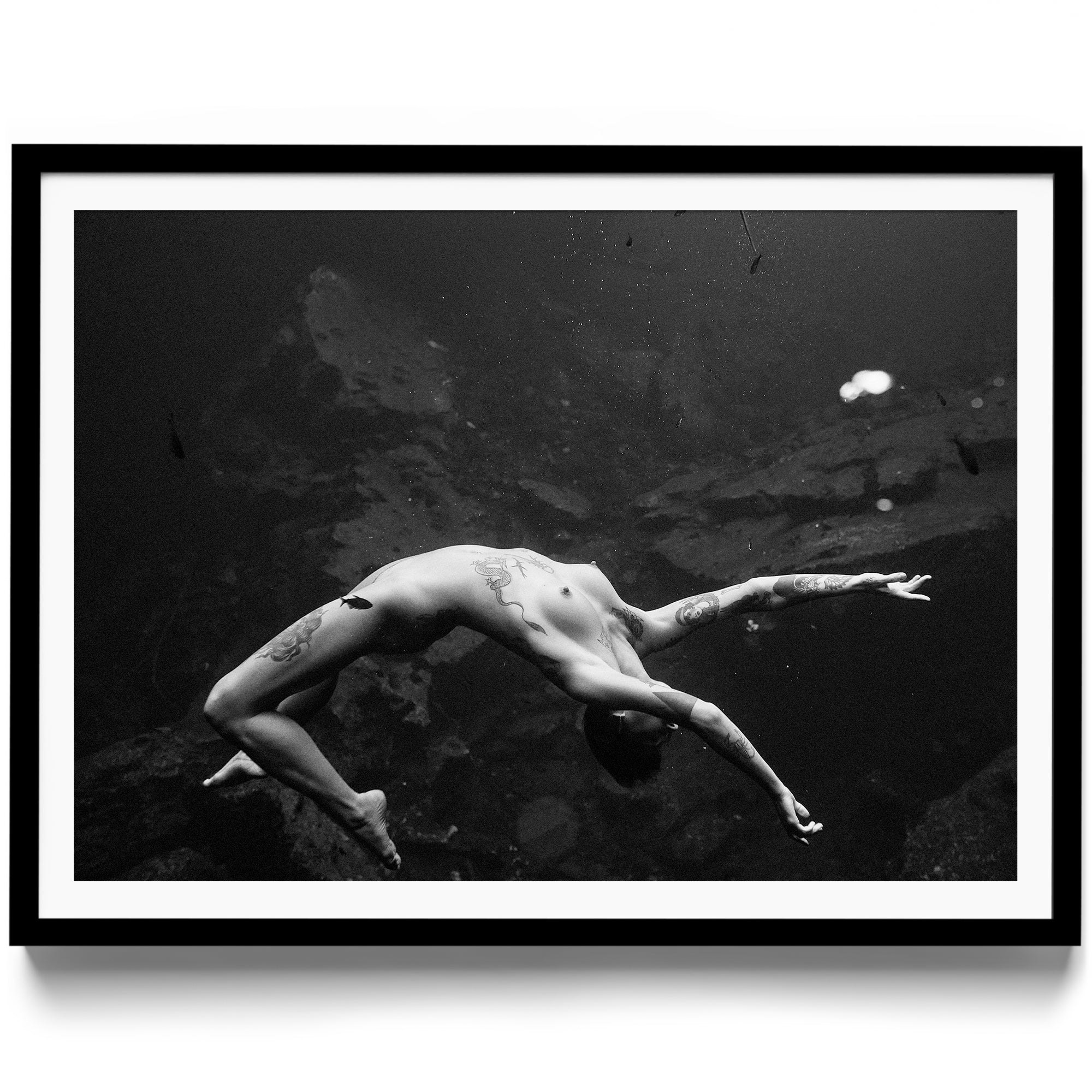 Vita - DANA GALLERYMario AlzateDANA GALLERYDANA GALLERYMario Alzate