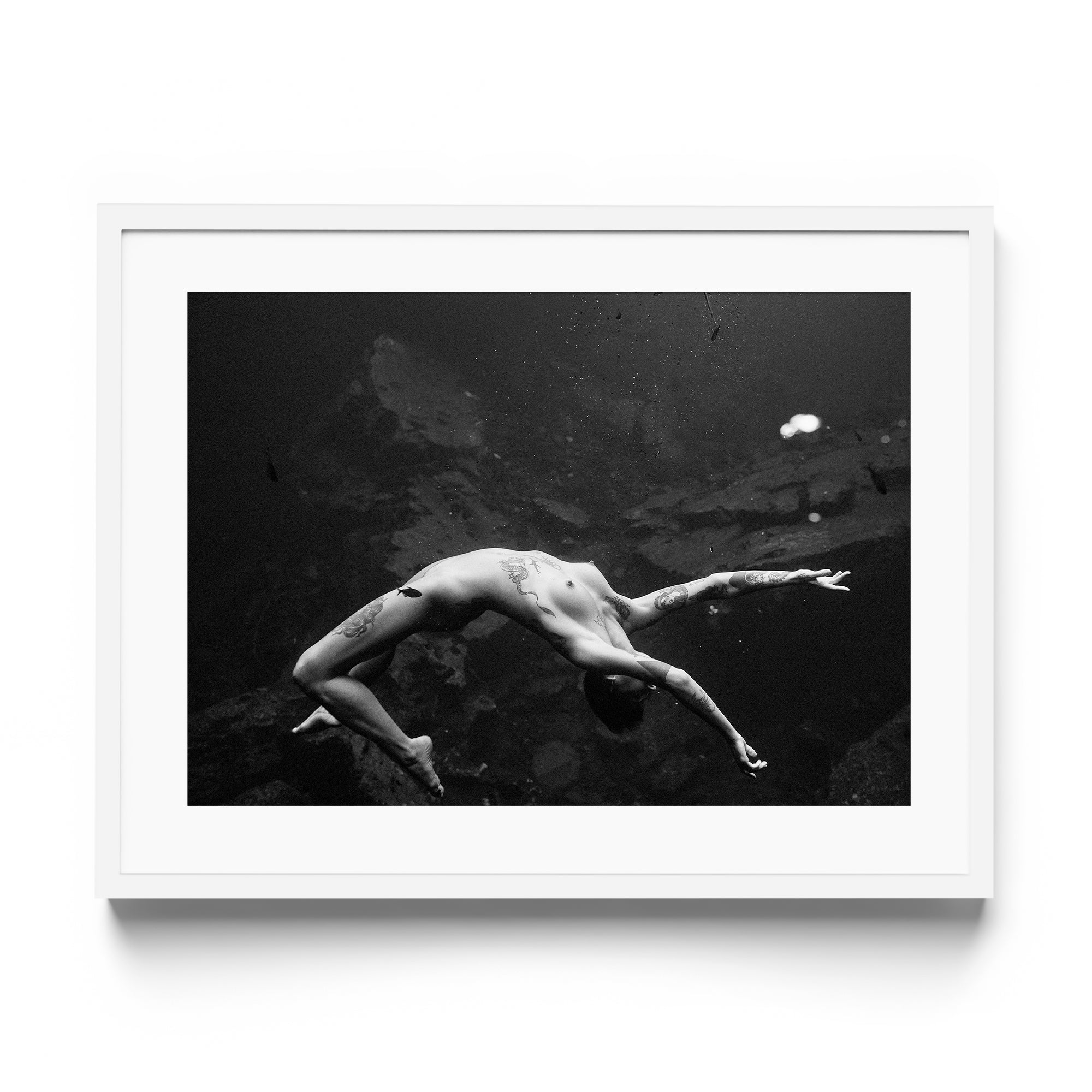 Vita - DANA GALLERYMario AlzateDANA GALLERYDANA GALLERYMario Alzate