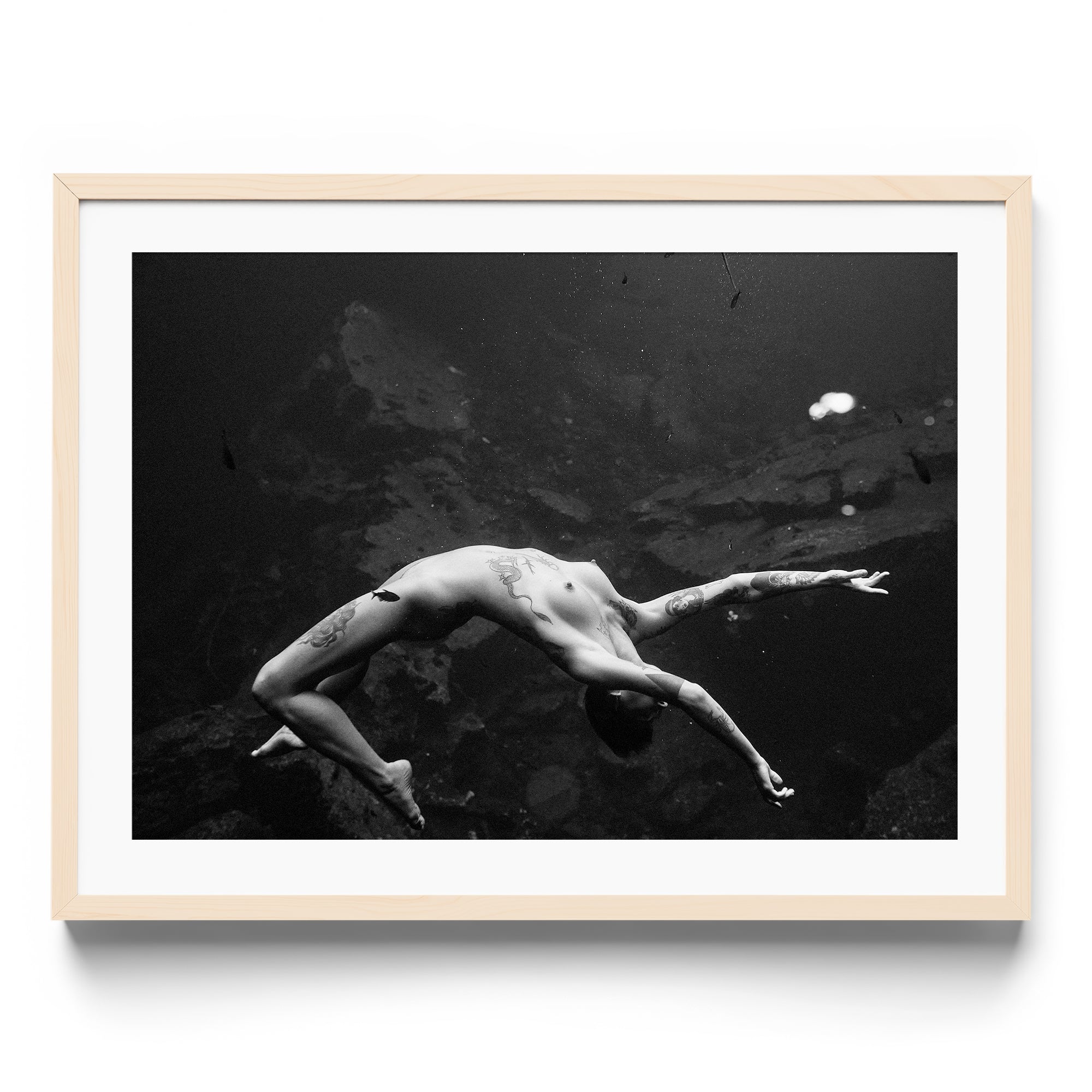 Vita - DANA GALLERYMario AlzateDANA GALLERYDANA GALLERYMario Alzate