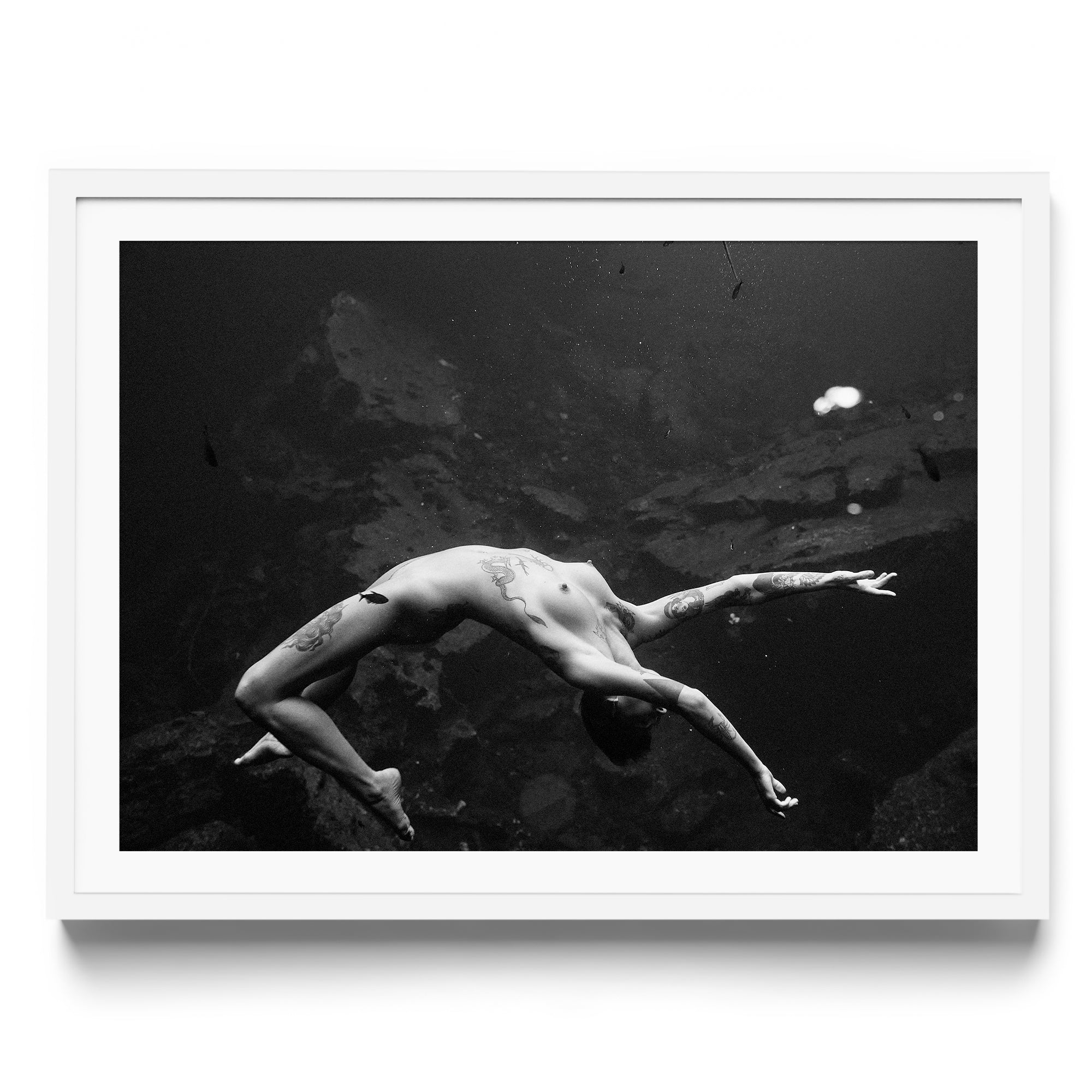 Vita - DANA GALLERYMario AlzateDANA GALLERYDANA GALLERYMario Alzate
