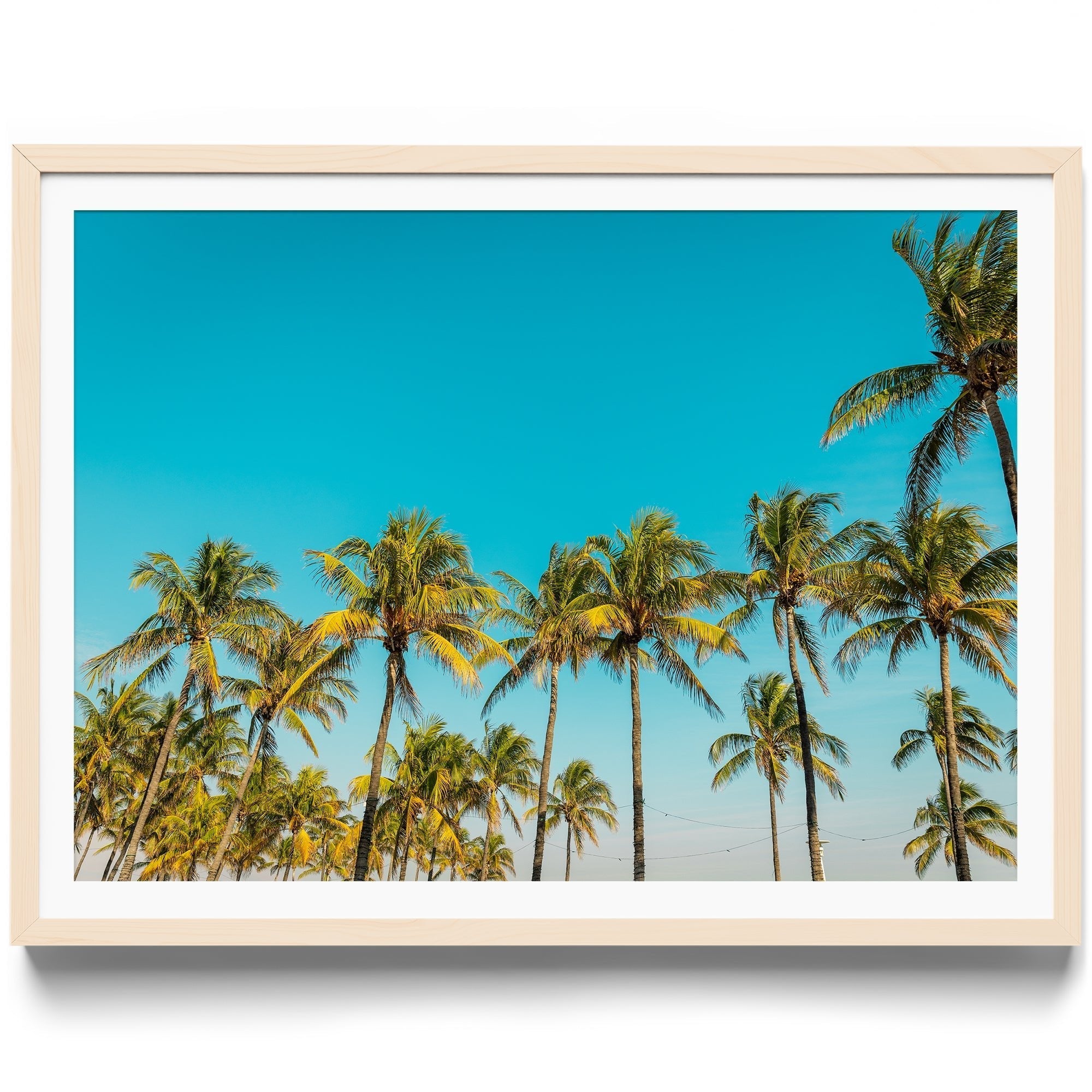 Beaches