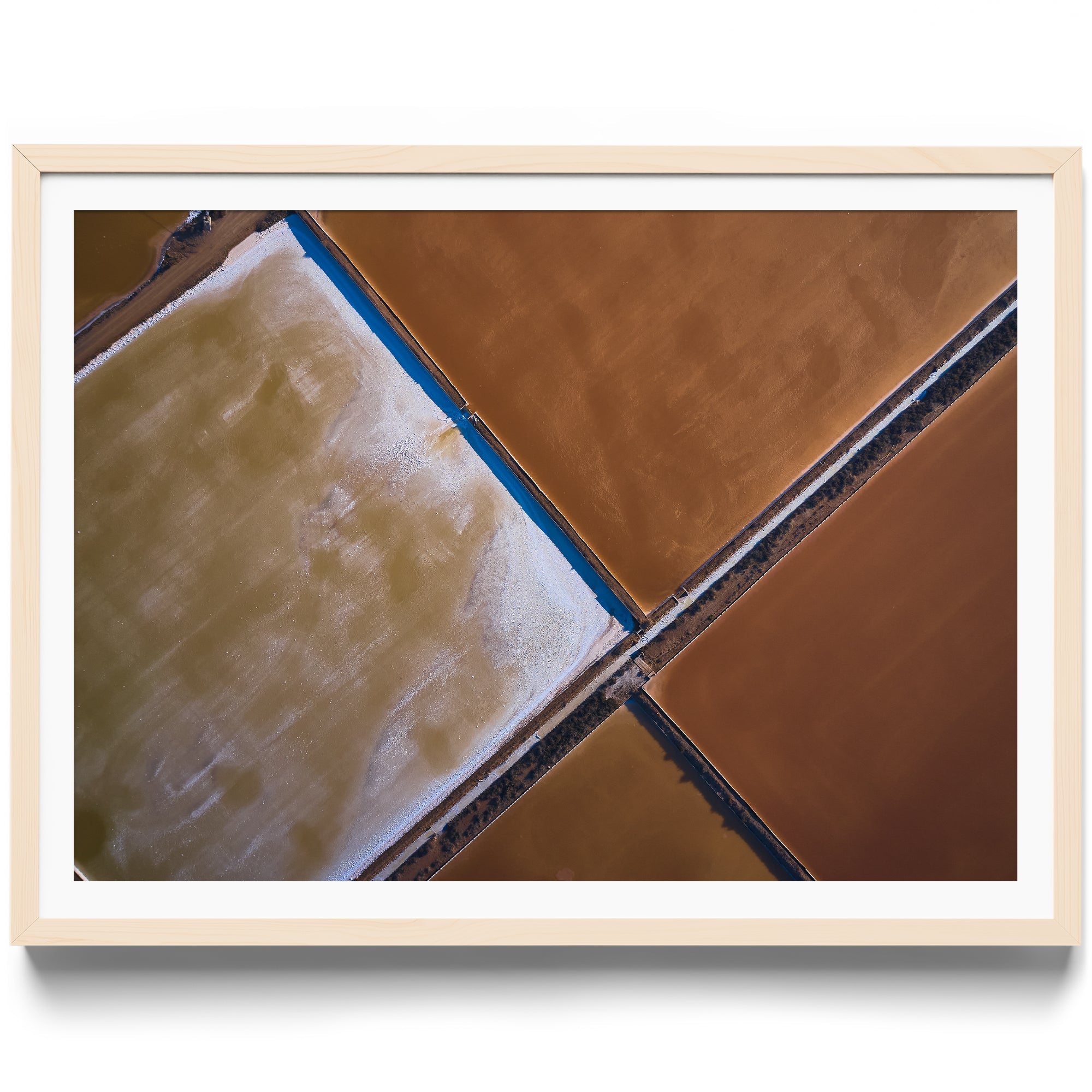 BROWNIE POINTS - DANA GALLERYMario AlzateDANA GALLERYDANA GALLERYMario Alzate