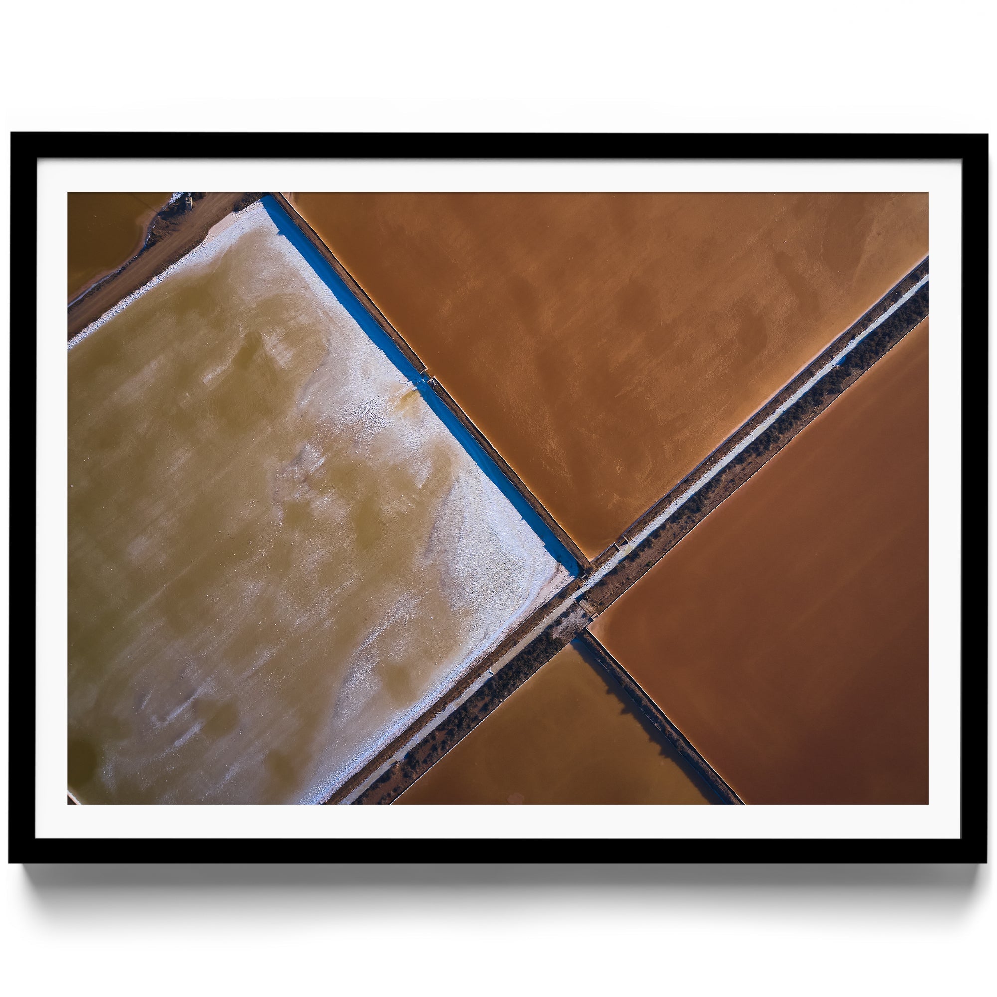 BROWNIE POINTS - DANA GALLERYMario AlzateDANA GALLERYDANA GALLERYMario Alzate