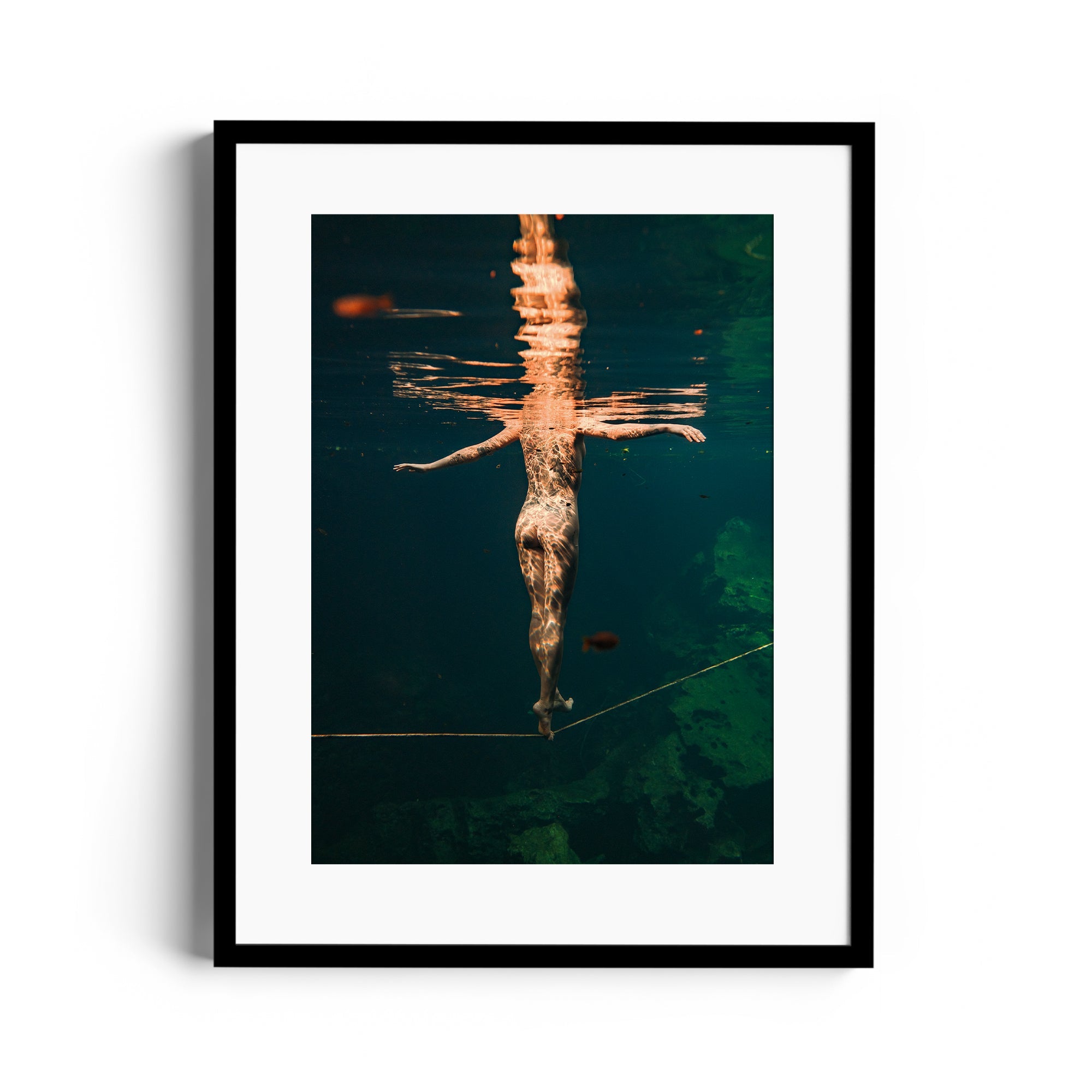 Cirque - DANA GALLERYMario AlzateDANA GALLERYDANA GALLERYMario Alzate