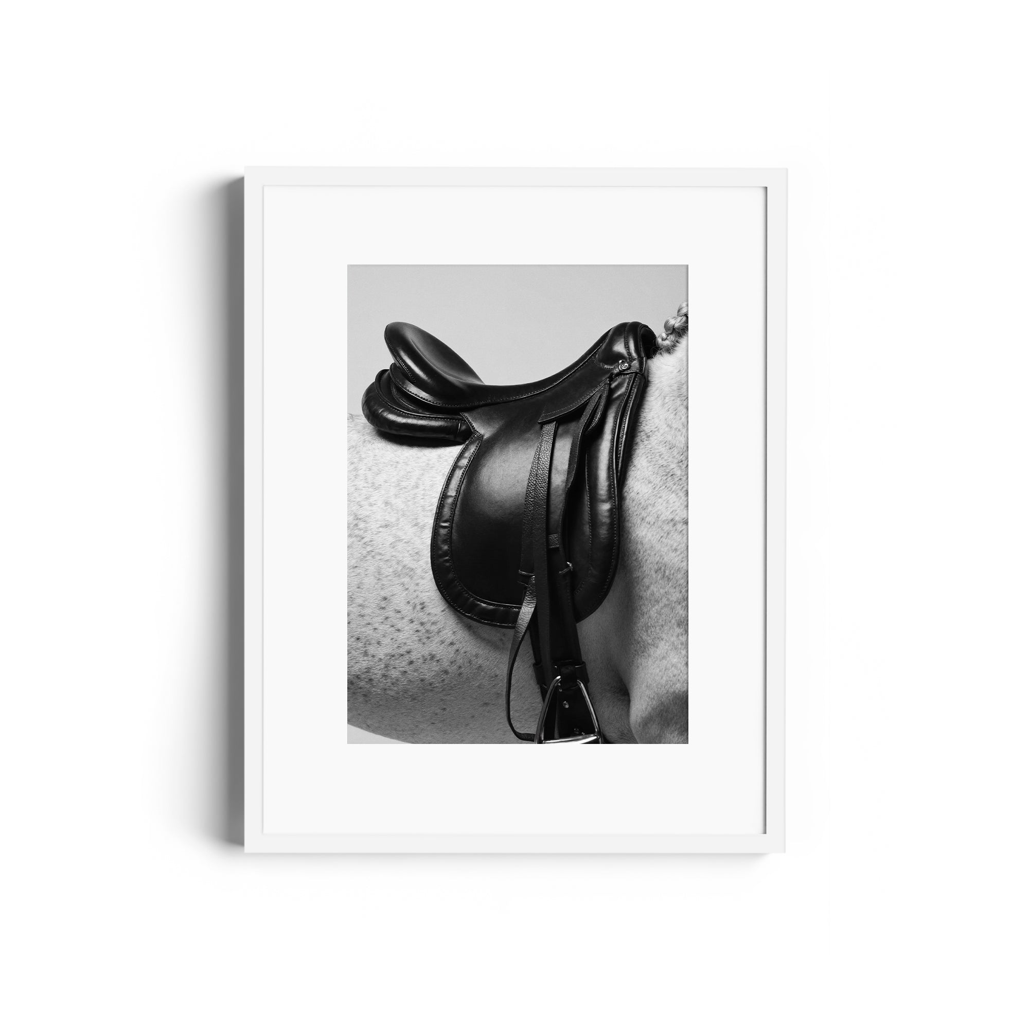 Limited edition fine art print of a black saddle on a grey horse, showcasing equestrian elegance, by Diego Cadavid.