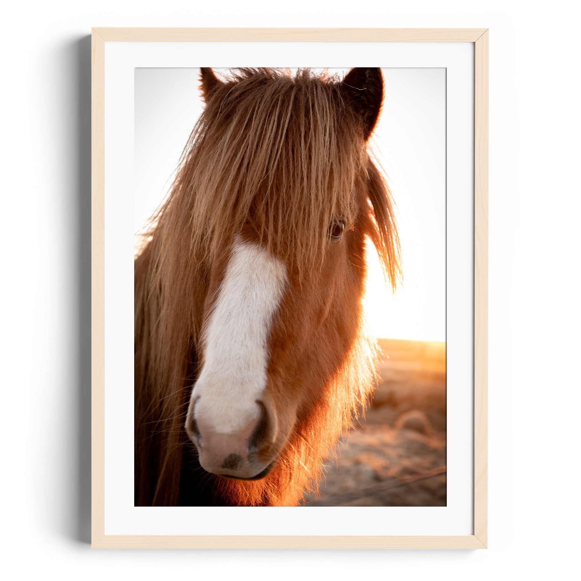 Goodness Horse - DANA GALLERYGeorge LozadaDANA GALLERYDANA GALLERYGeorge Lozada