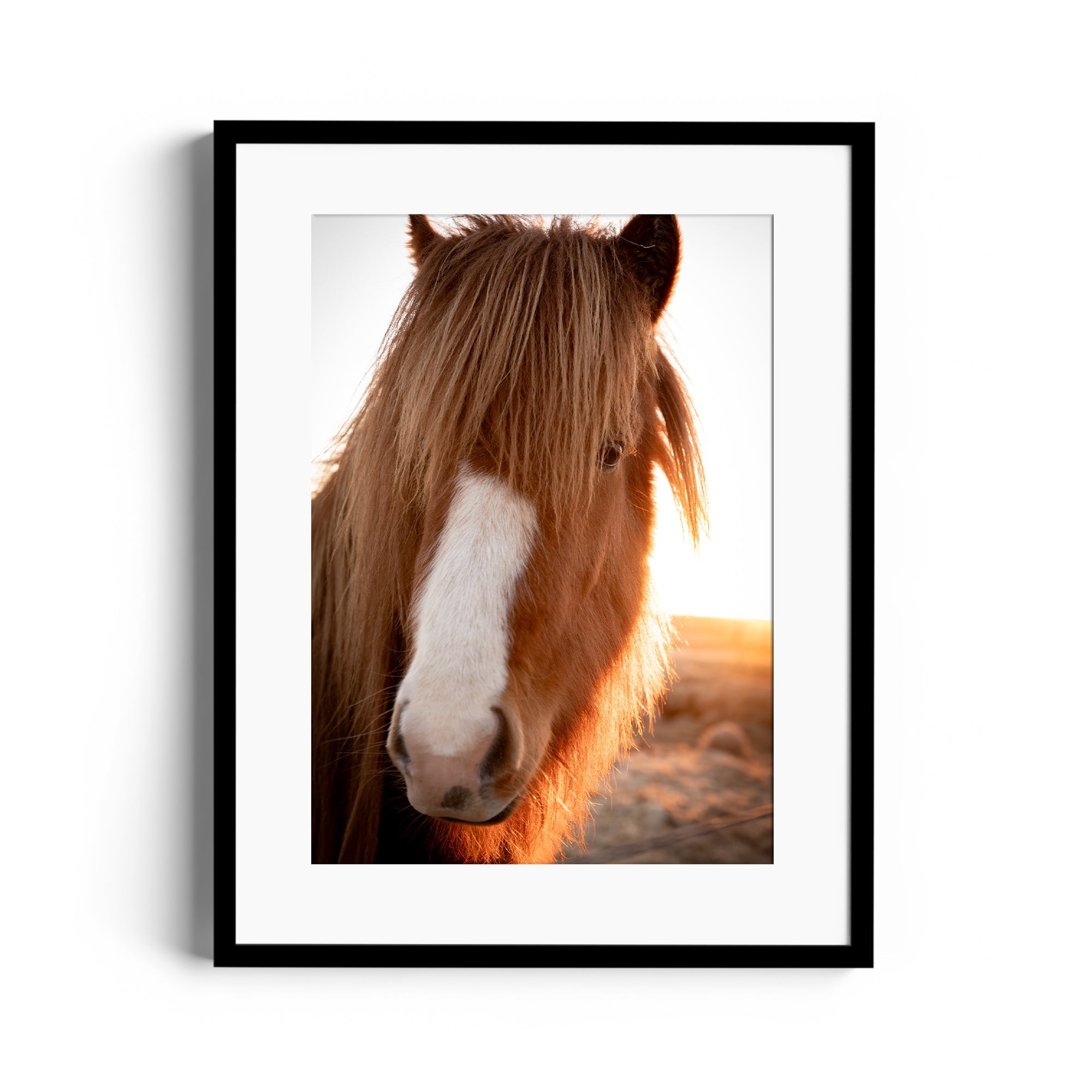 Goodness Horse - DANA GALLERYGeorge LozadaDANA GALLERYDANA GALLERYGeorge Lozada