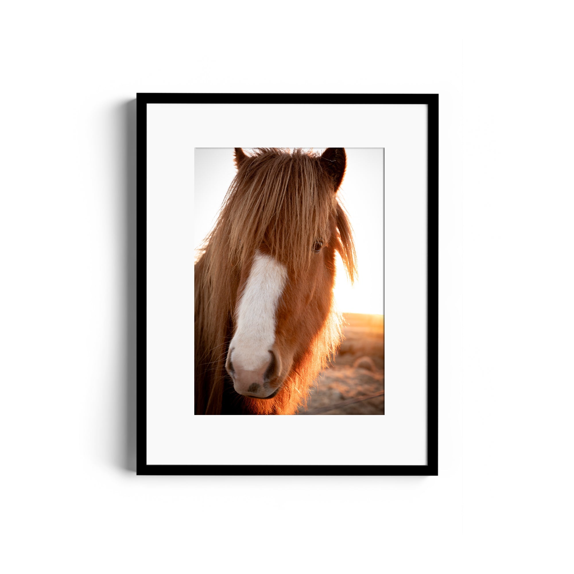 Goodness Horse - DANA GALLERYGeorge LozadaDANA GALLERYDANA GALLERYGeorge Lozada
