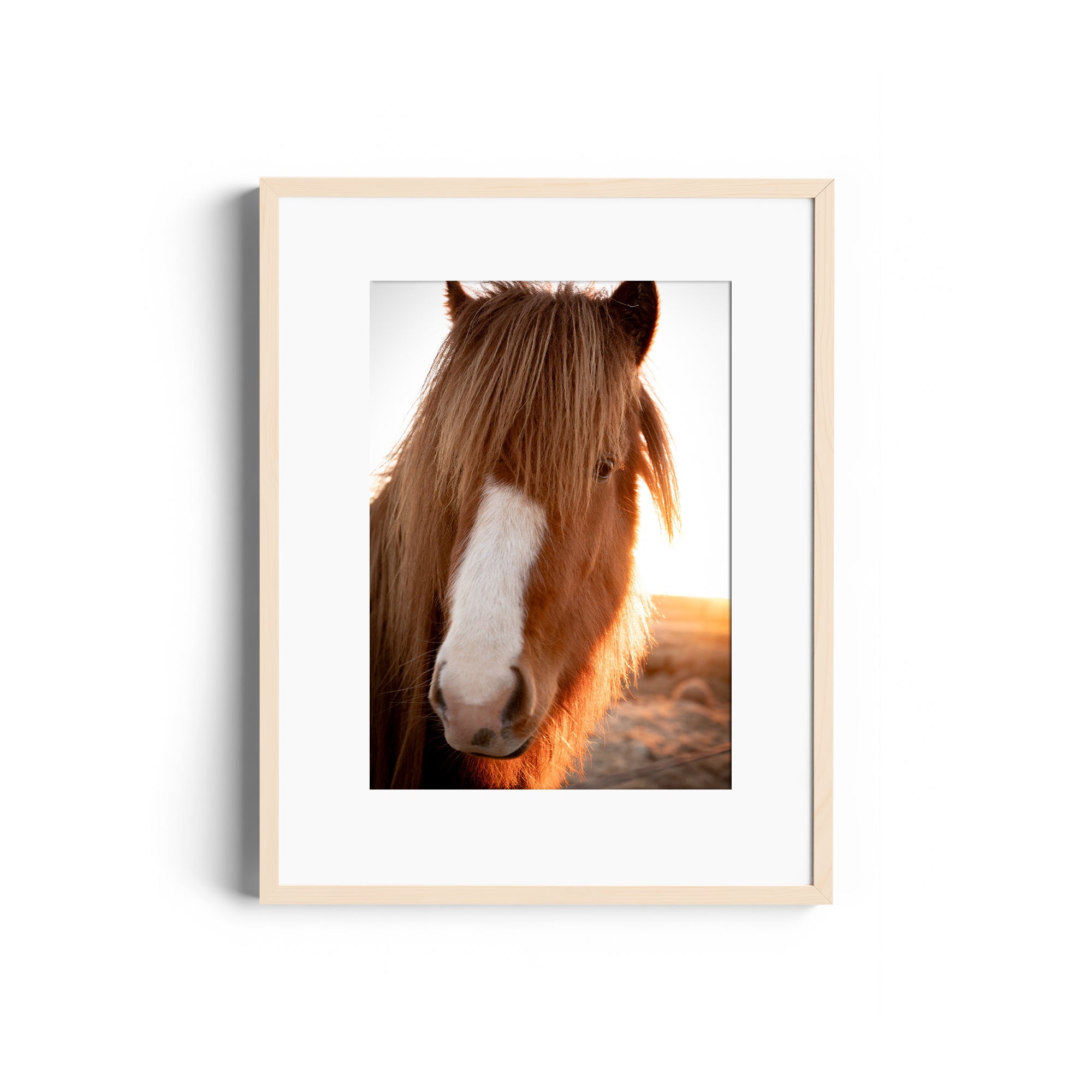 Goodness Horse - DANA GALLERYGeorge LozadaDANA GALLERYDANA GALLERYGeorge Lozada