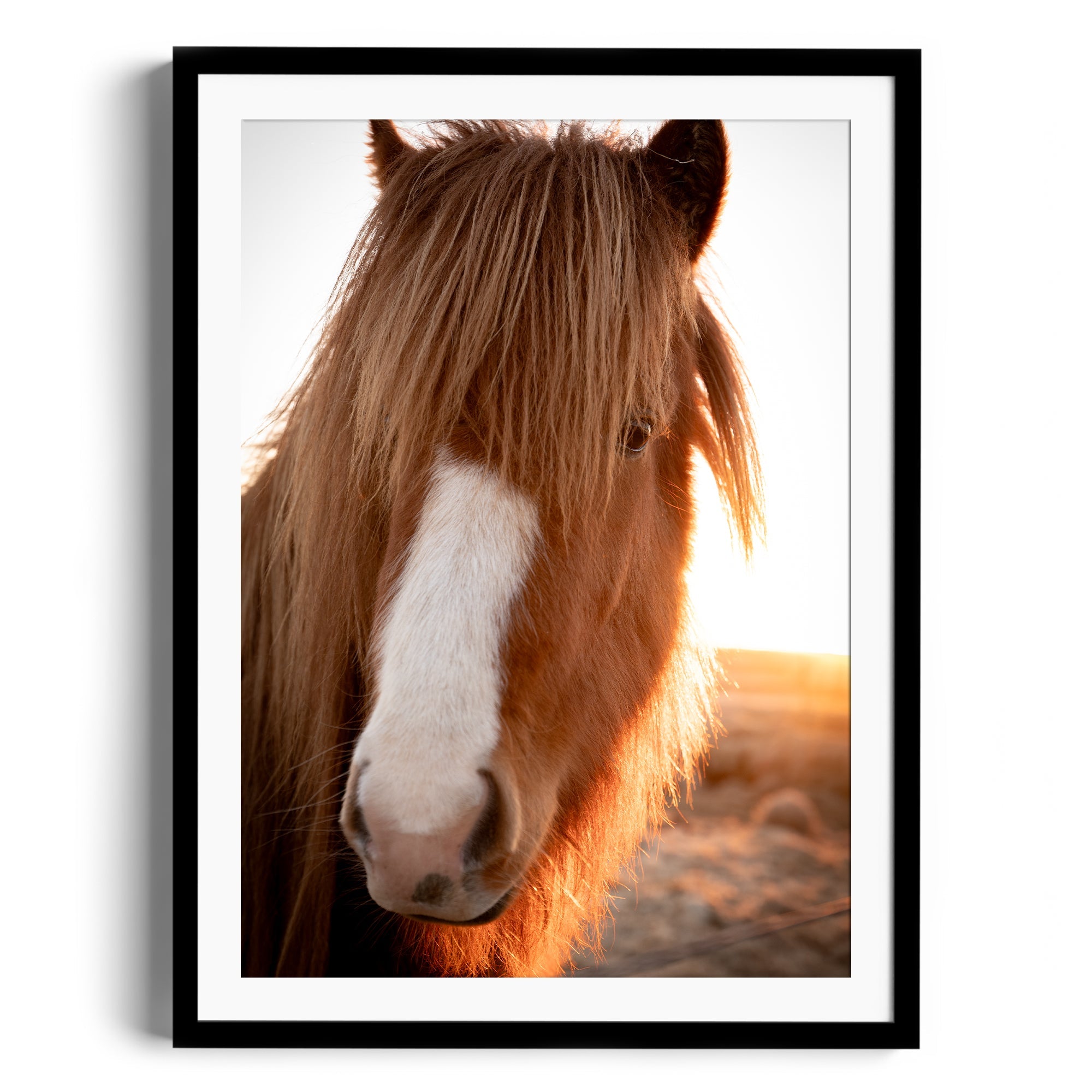 Goodness Horse - DANA GALLERYGeorge LozadaDANA GALLERYDANA GALLERYGeorge Lozada