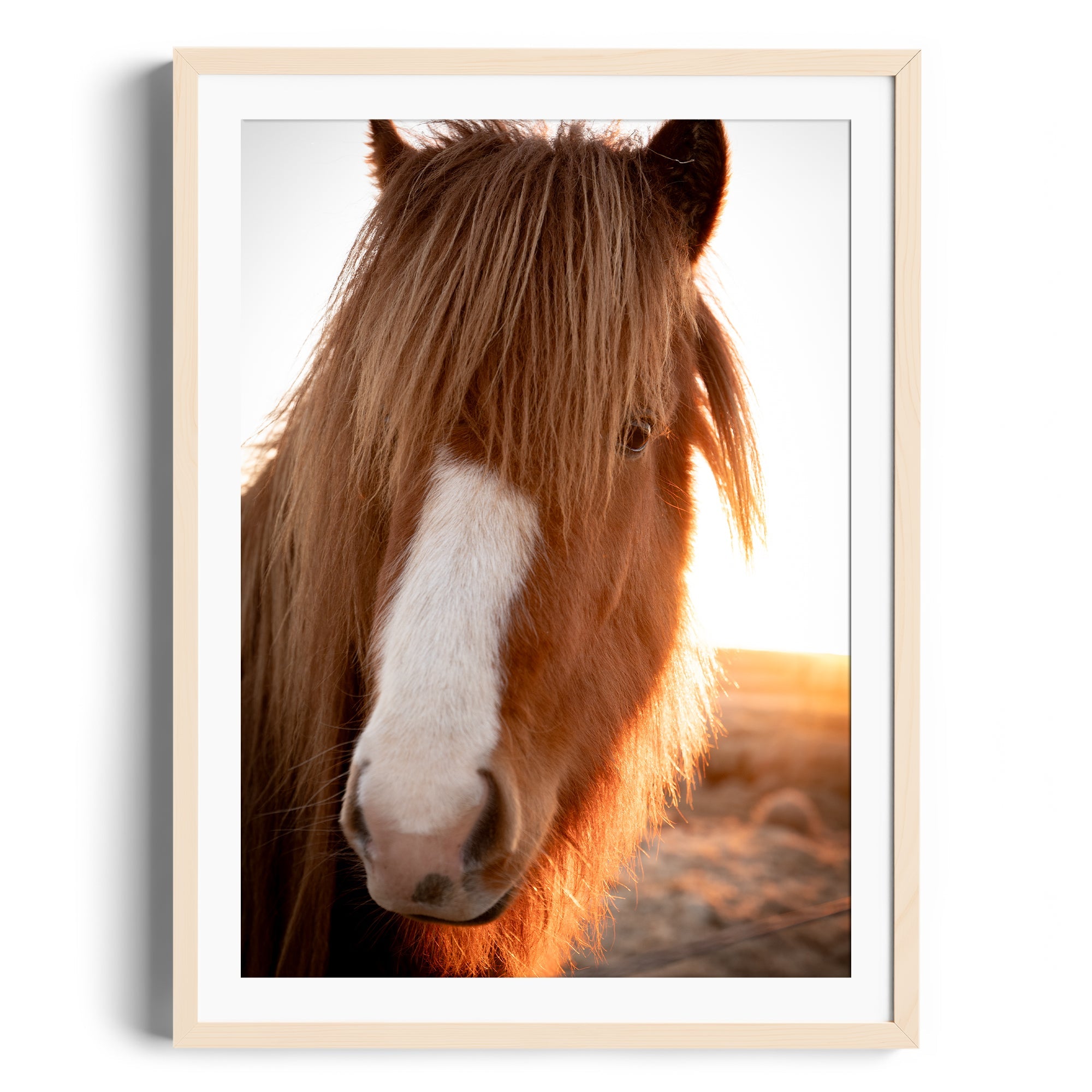 Goodness Horse - DANA GALLERYGeorge LozadaDANA GALLERYDANA GALLERYGeorge Lozada