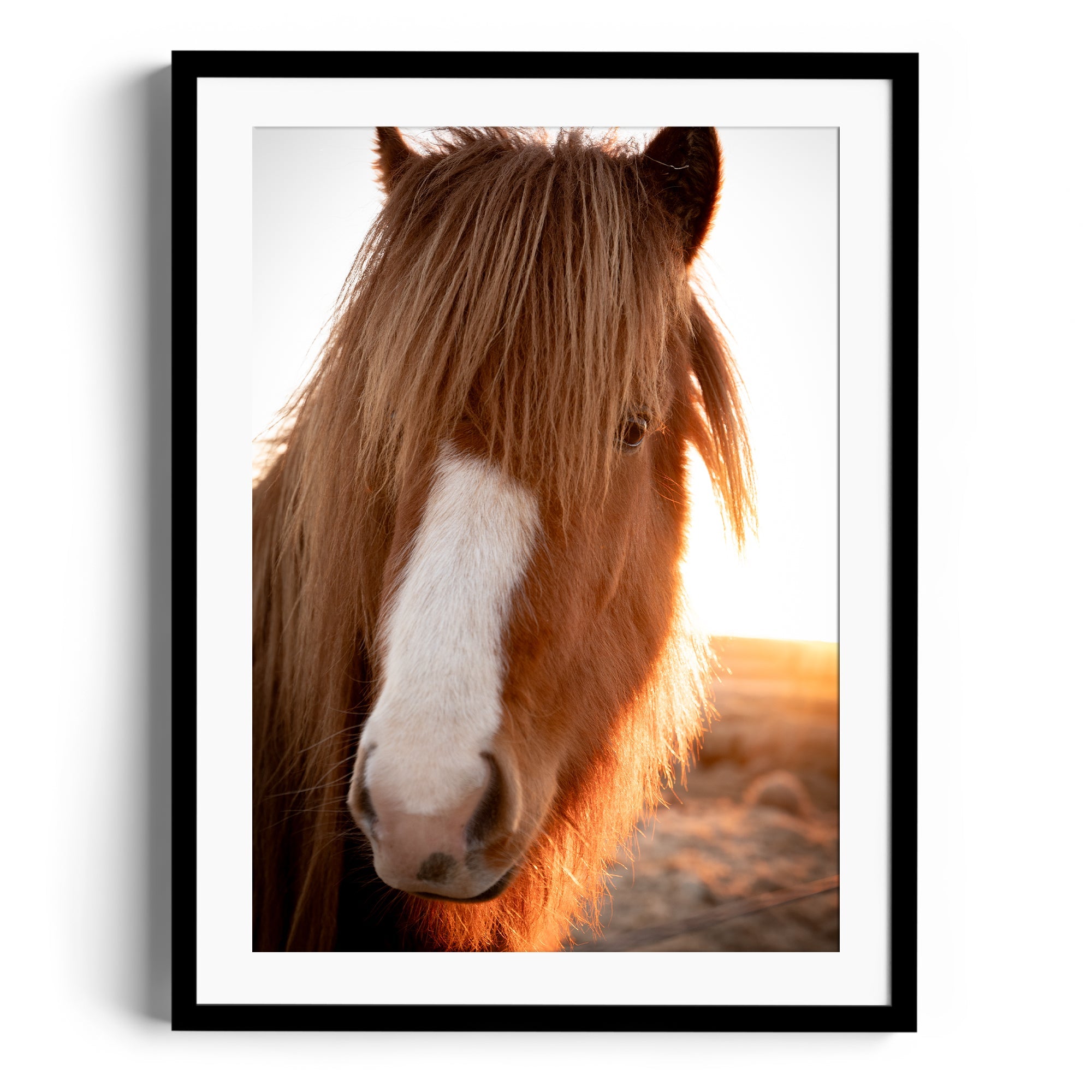 Goodness Horse - DANA GALLERYGeorge LozadaDANA GALLERYDANA GALLERYGeorge Lozada