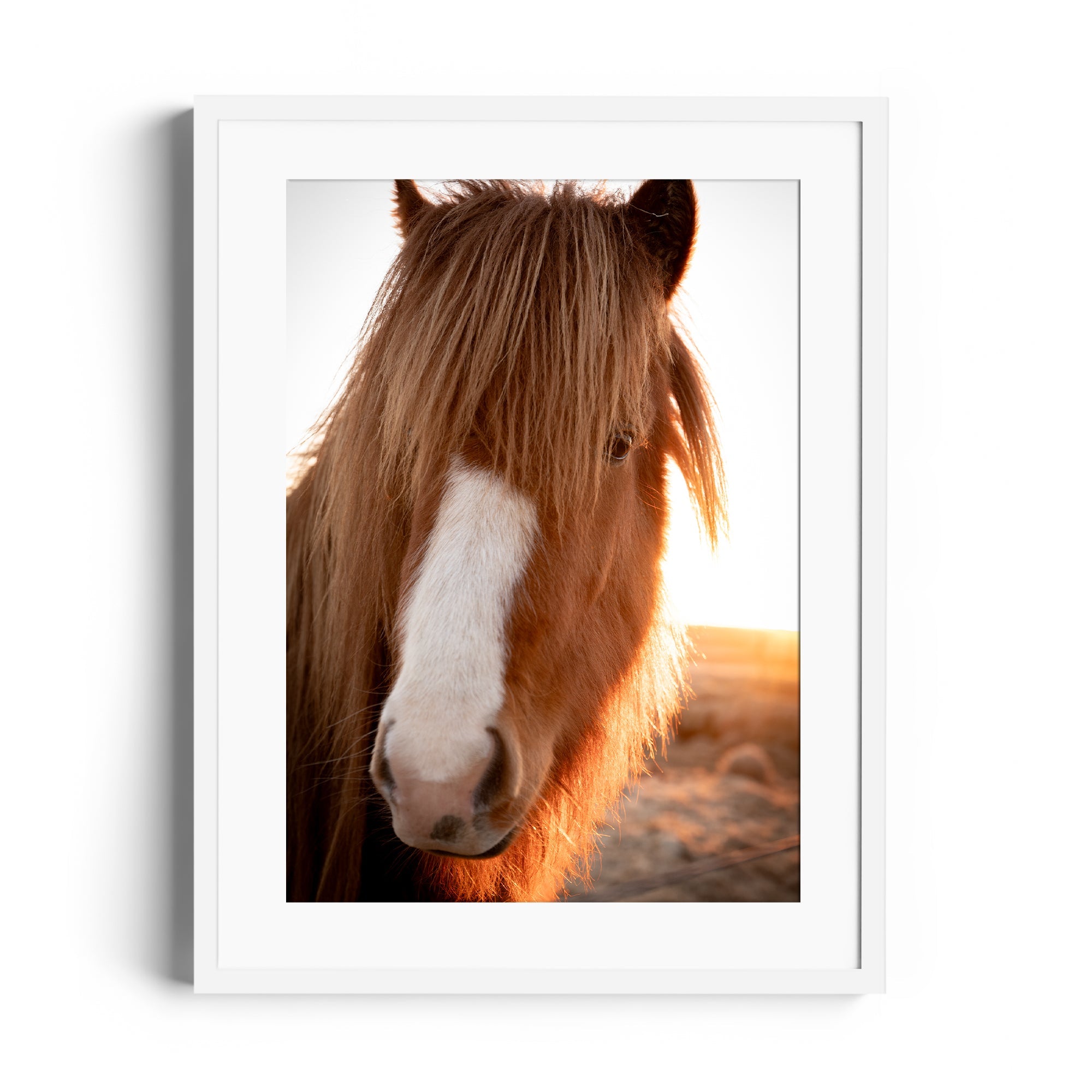 Goodness Horse - DANA GALLERYGeorge LozadaDANA GALLERYDANA GALLERYGeorge Lozada