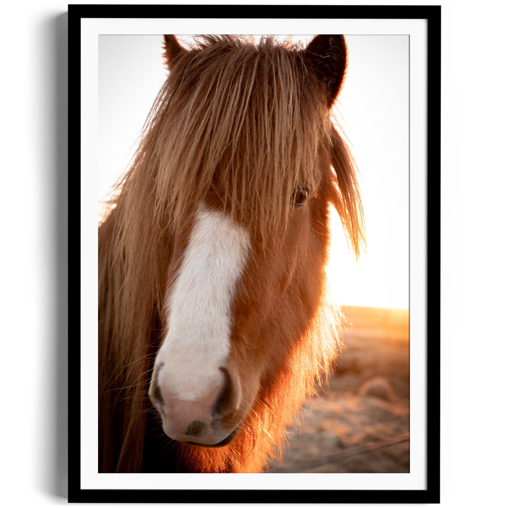 Goodness Horse - DANA GALLERYGeorge LozadaDANA GALLERYDANA GALLERYGeorge Lozada
