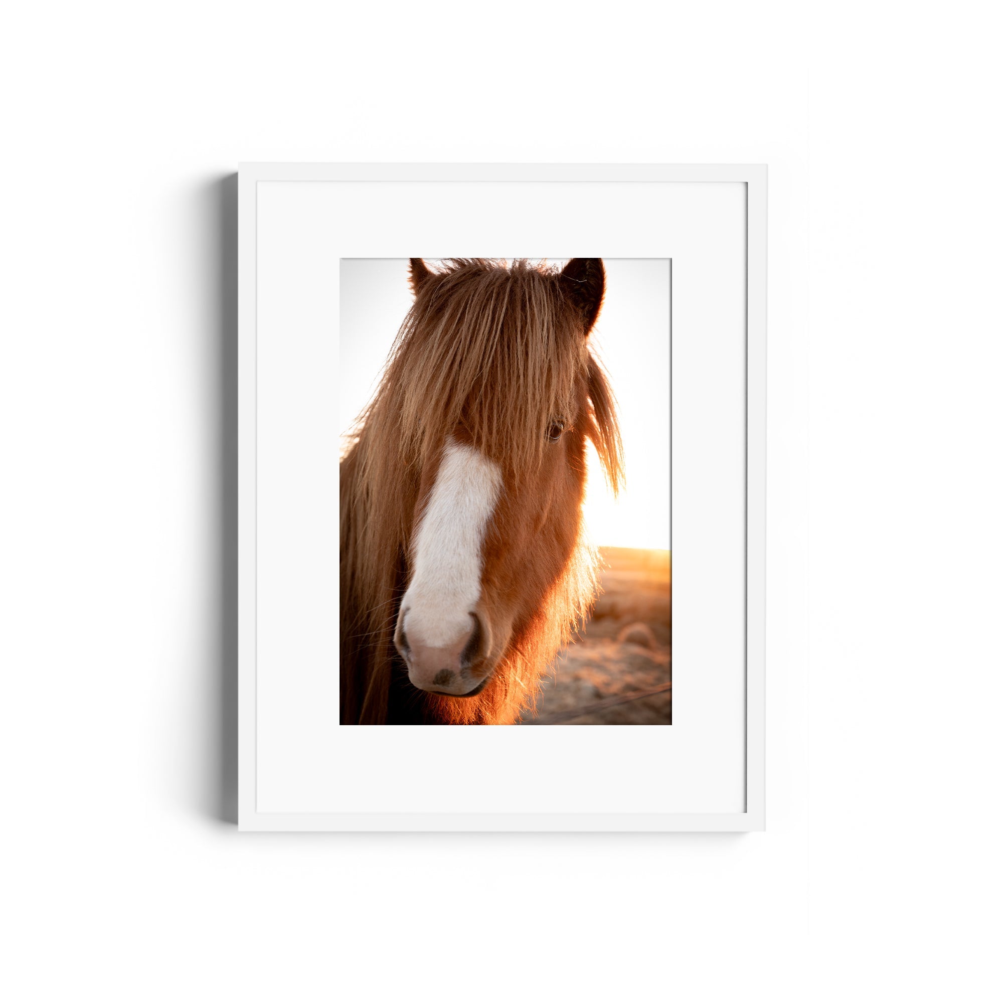 Goodness Horse - DANA GALLERYGeorge LozadaDANA GALLERYDANA GALLERYGeorge Lozada