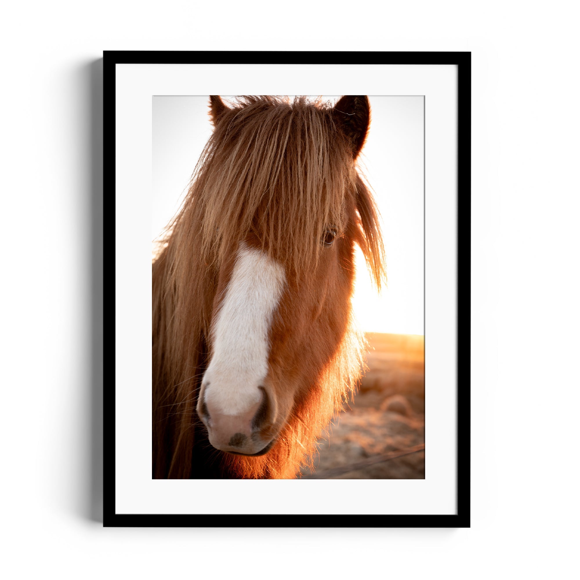 Goodness Horse - DANA GALLERYGeorge LozadaDANA GALLERYDANA GALLERYGeorge Lozada