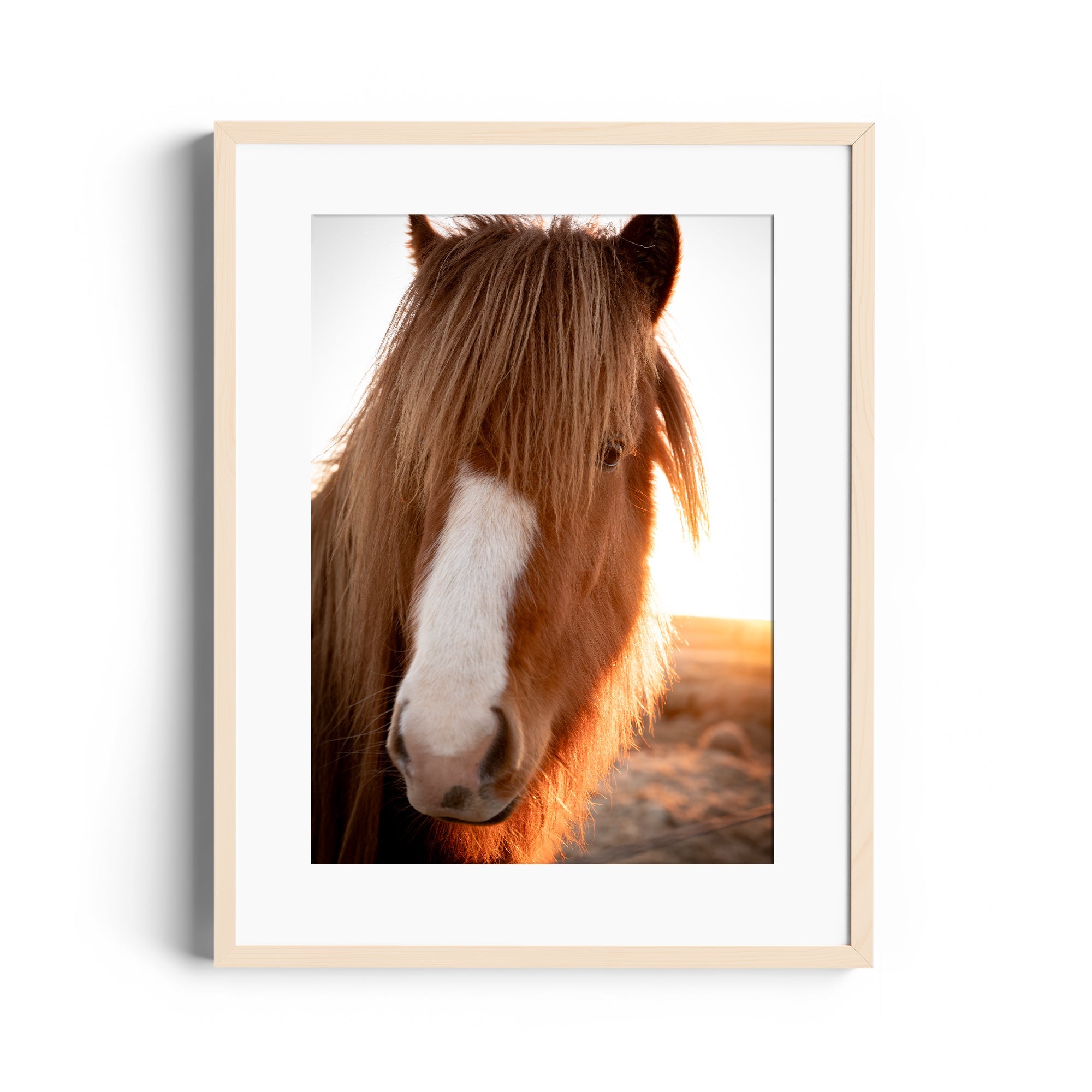 Goodness Horse - DANA GALLERYGeorge LozadaDANA GALLERYDANA GALLERYGeorge Lozada