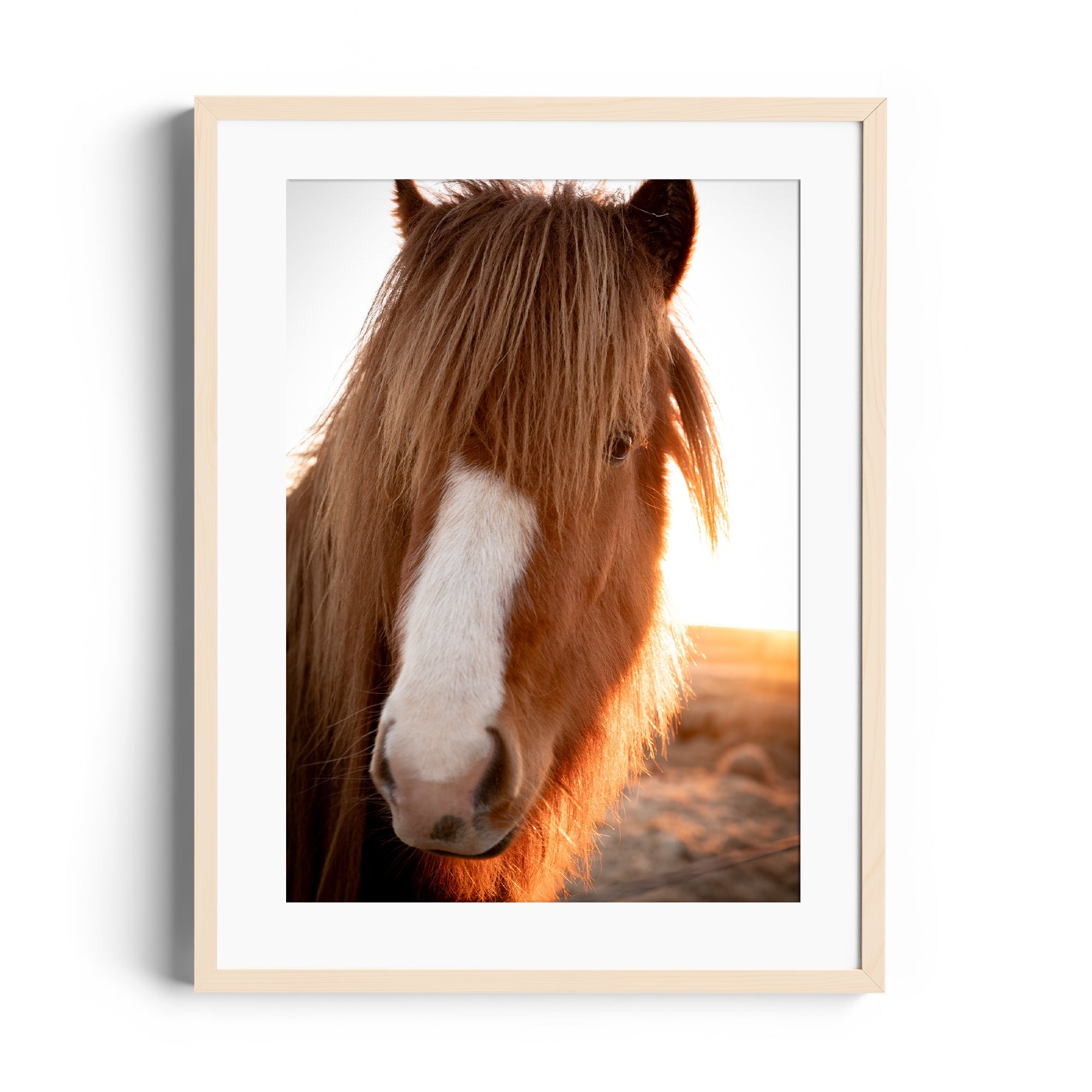 Goodness Horse - DANA GALLERYGeorge LozadaDANA GALLERYDANA GALLERYGeorge Lozada