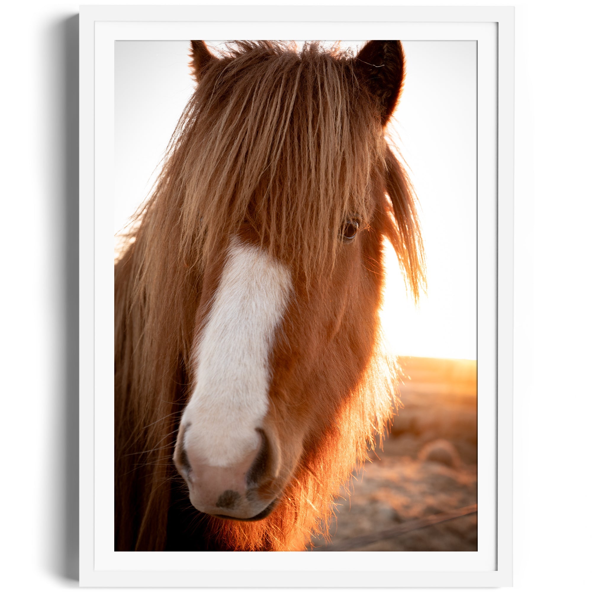 Goodness Horse - DANA GALLERYGeorge LozadaDANA GALLERYDANA GALLERYGeorge Lozada