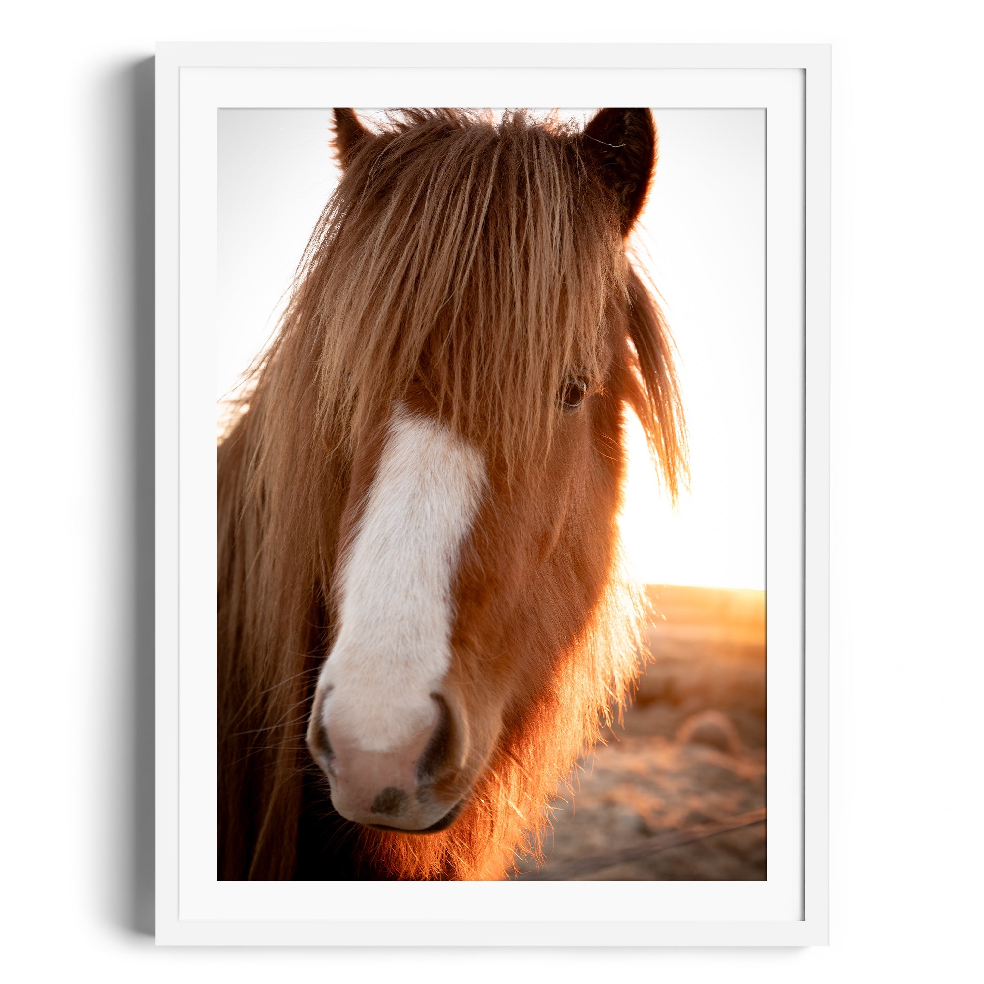 Goodness Horse - DANA GALLERYGeorge LozadaDANA GALLERYDANA GALLERYGeorge Lozada