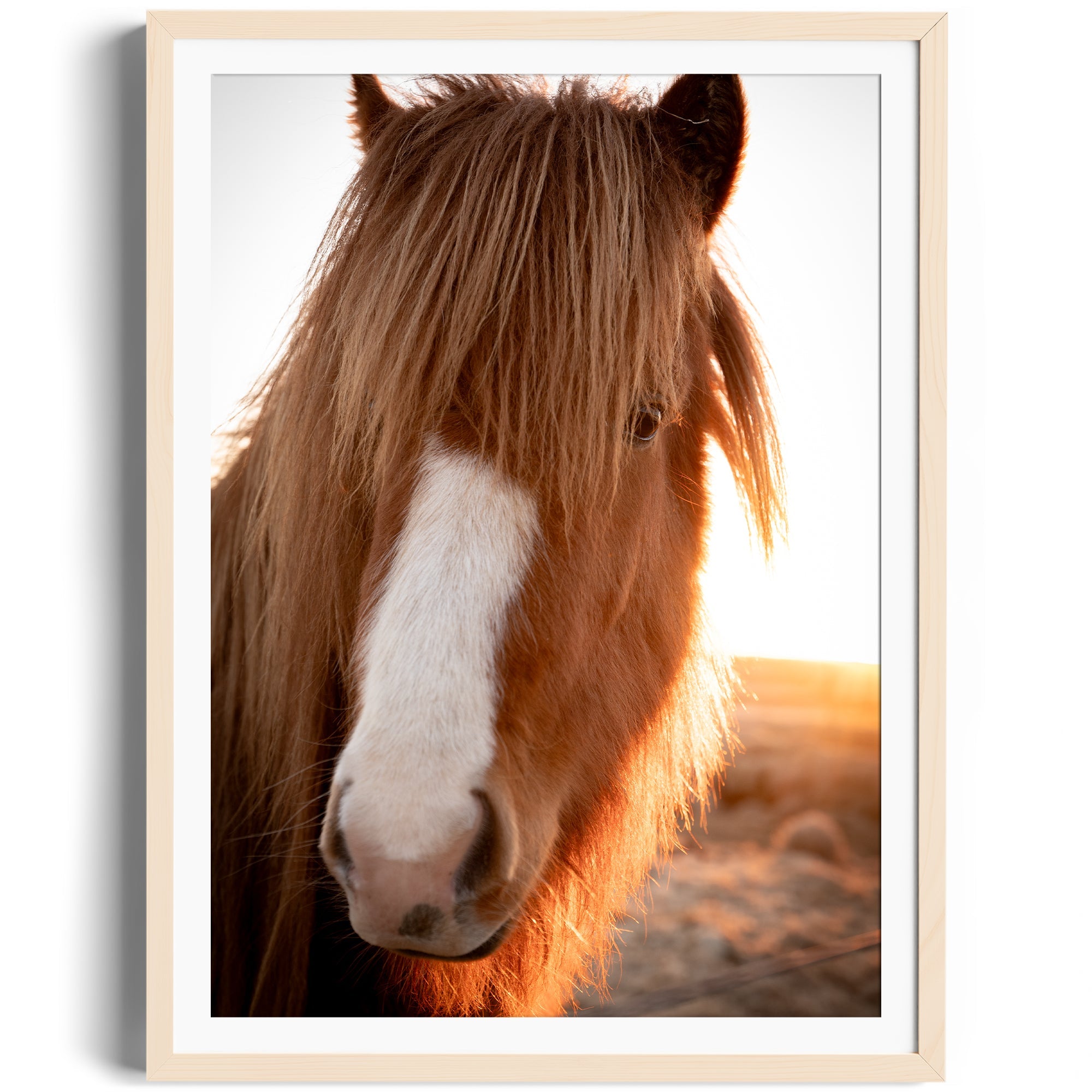 Goodness Horse - DANA GALLERYGeorge LozadaDANA GALLERYDANA GALLERYGeorge Lozada