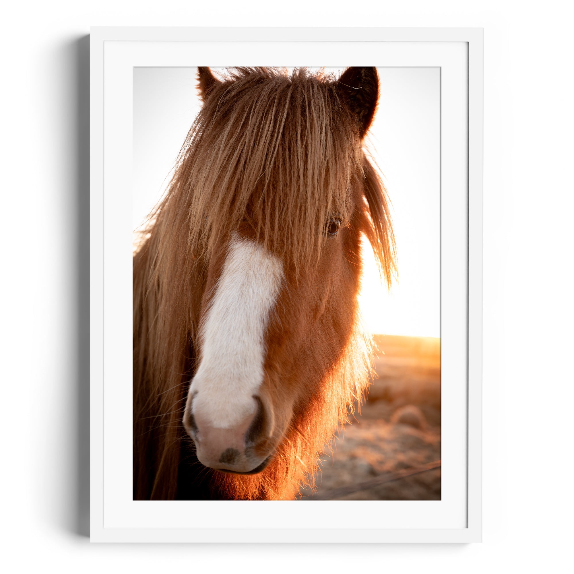 Goodness Horse - DANA GALLERYGeorge LozadaDANA GALLERYDANA GALLERYGeorge Lozada